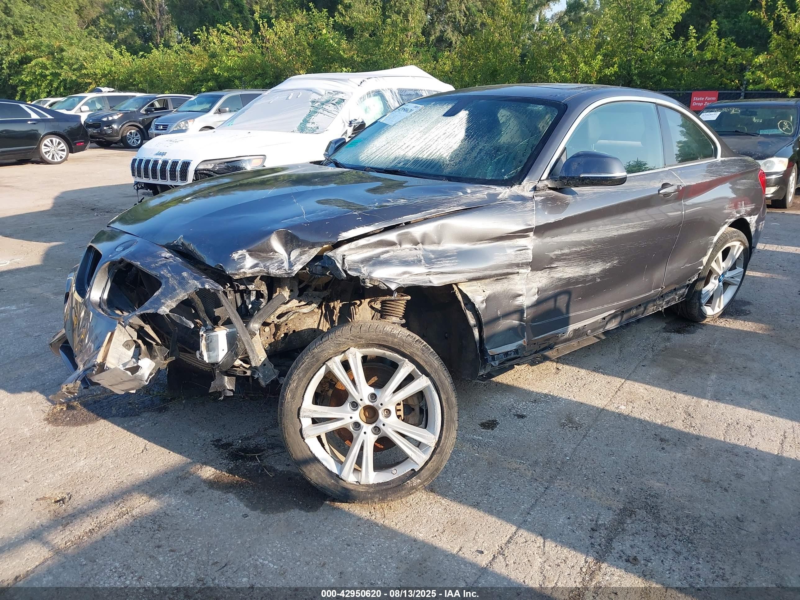2014 Bmw 228i   Gray vin: WBA1F5C50EV256380