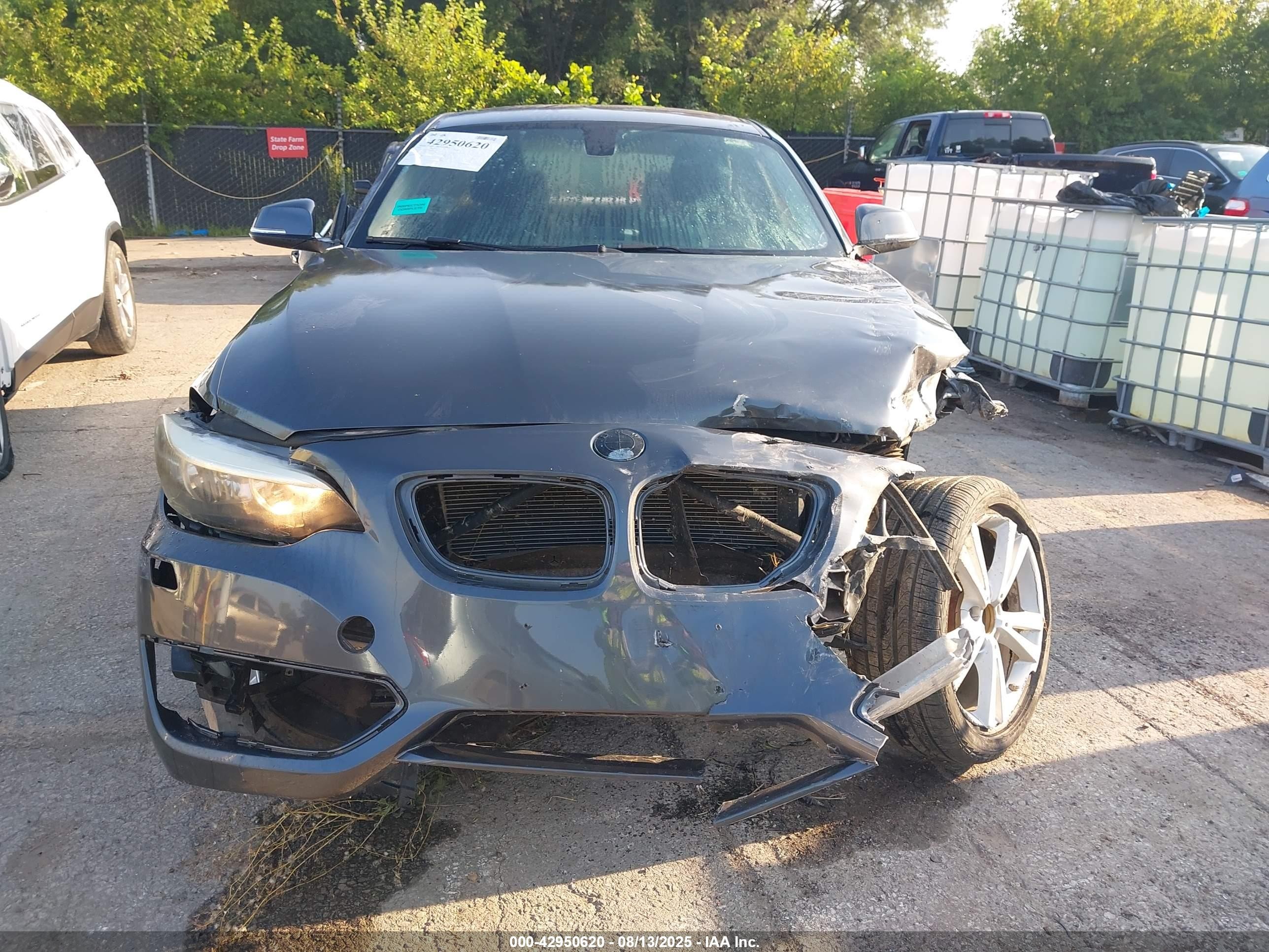2014 Bmw 228i   Gray vin: WBA1F5C50EV256380