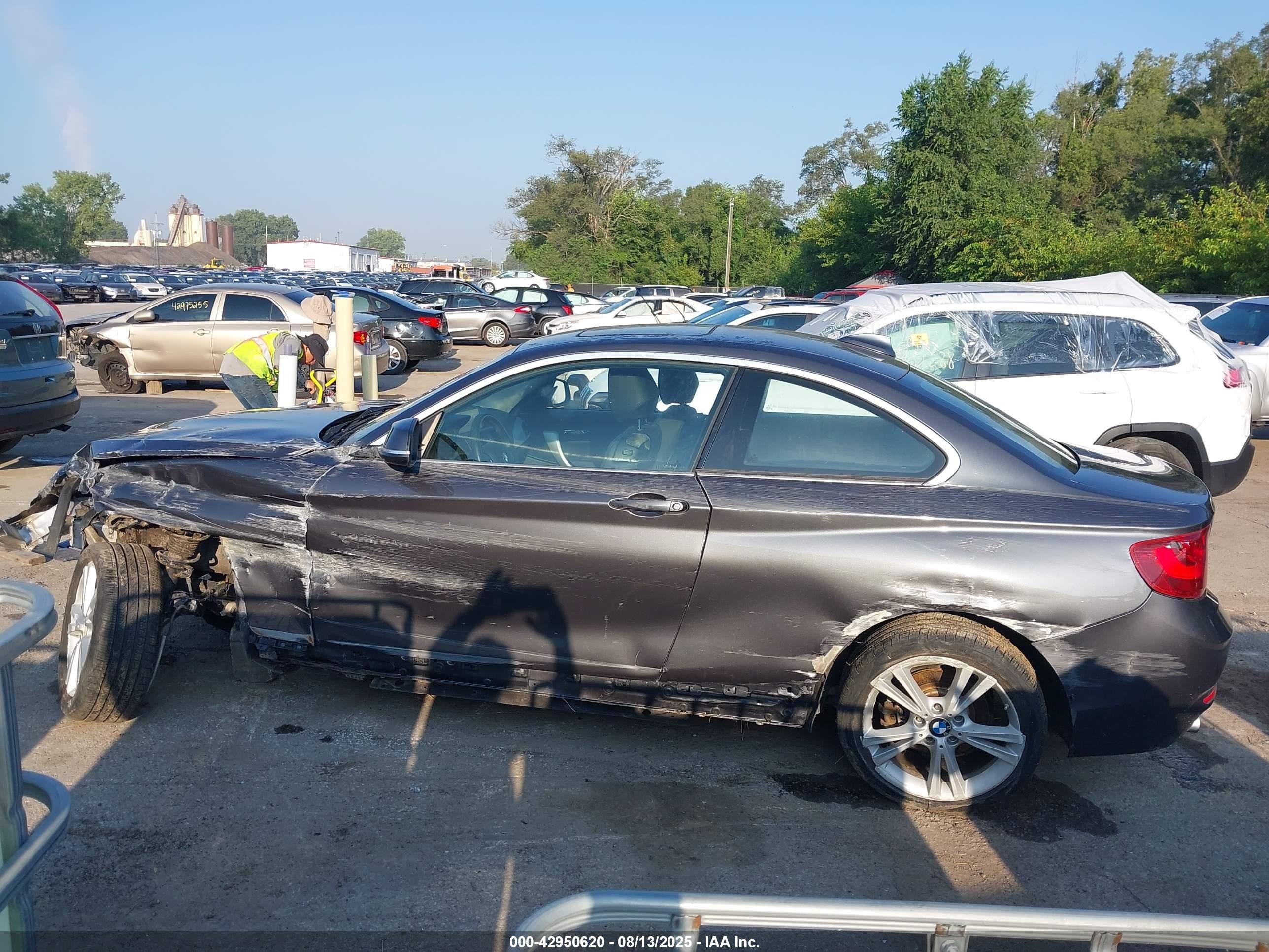 2014 Bmw 228i   Gray vin: WBA1F5C50EV256380