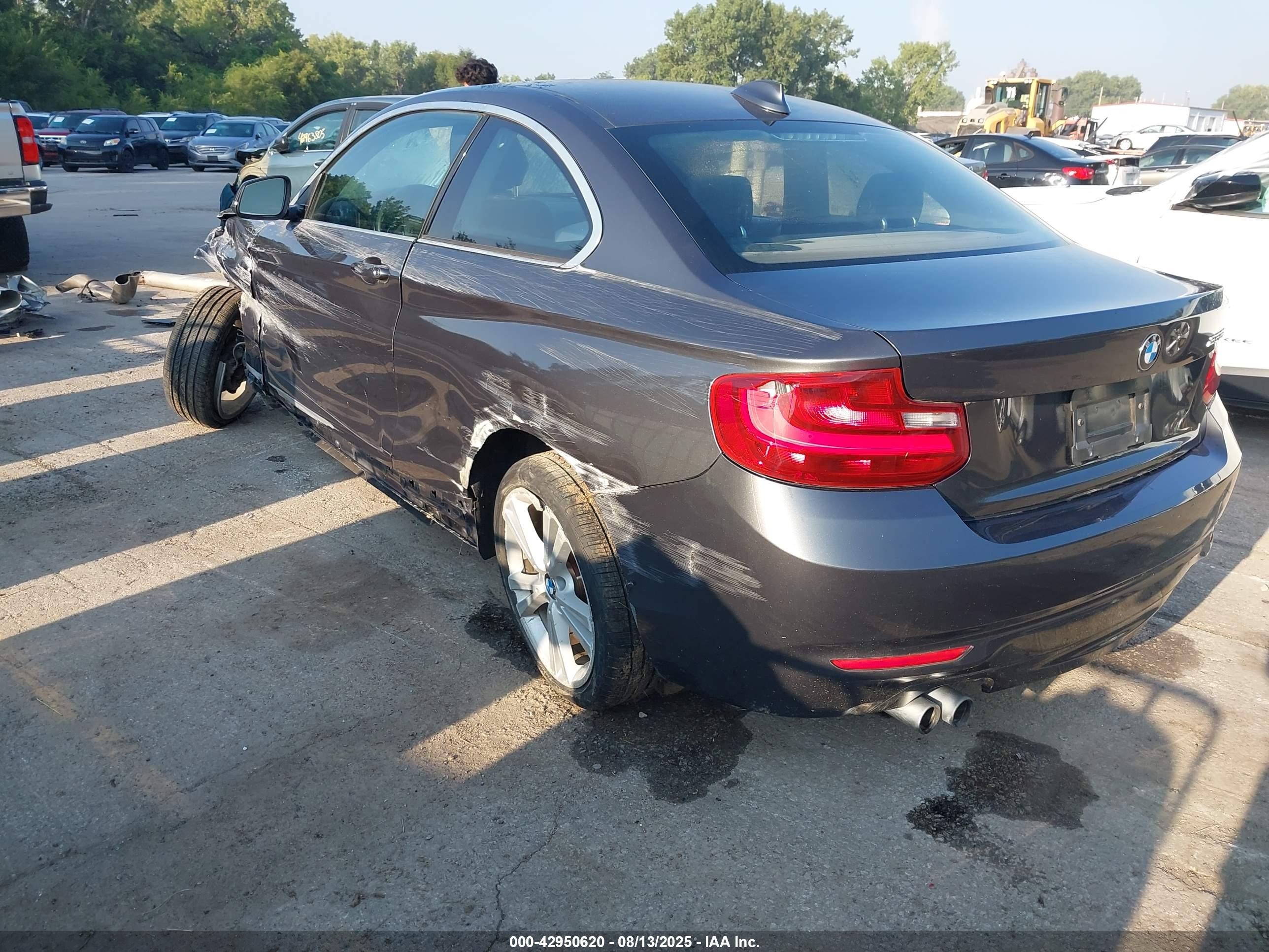 2014 Bmw 228i   Gray vin: WBA1F5C50EV256380