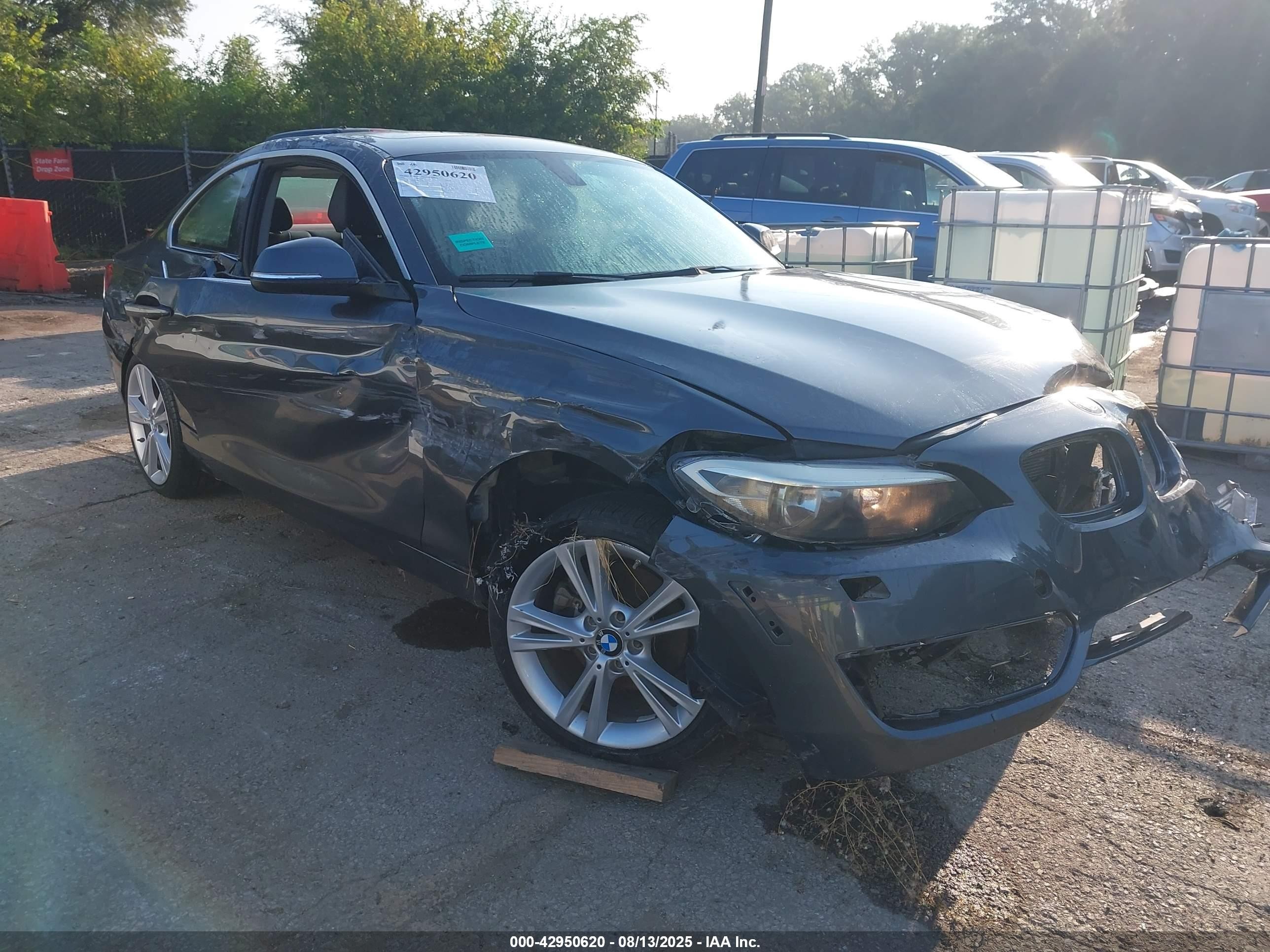 2014 Bmw 228i   Gray vin: WBA1F5C50EV256380
