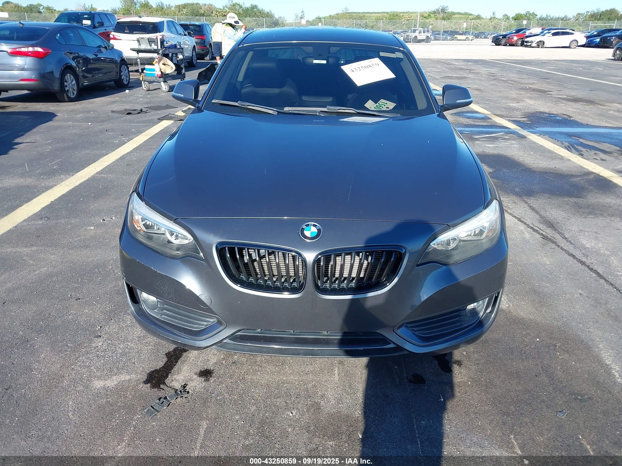 2014 Bmw 228i   Gray vin: WBA1F5C57EV255839