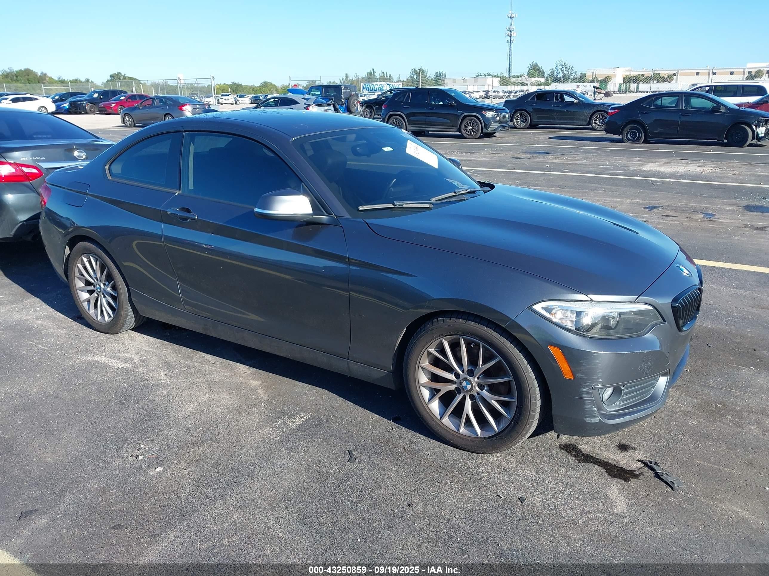 2014 Bmw 228i   Gray vin: WBA1F5C57EV255839