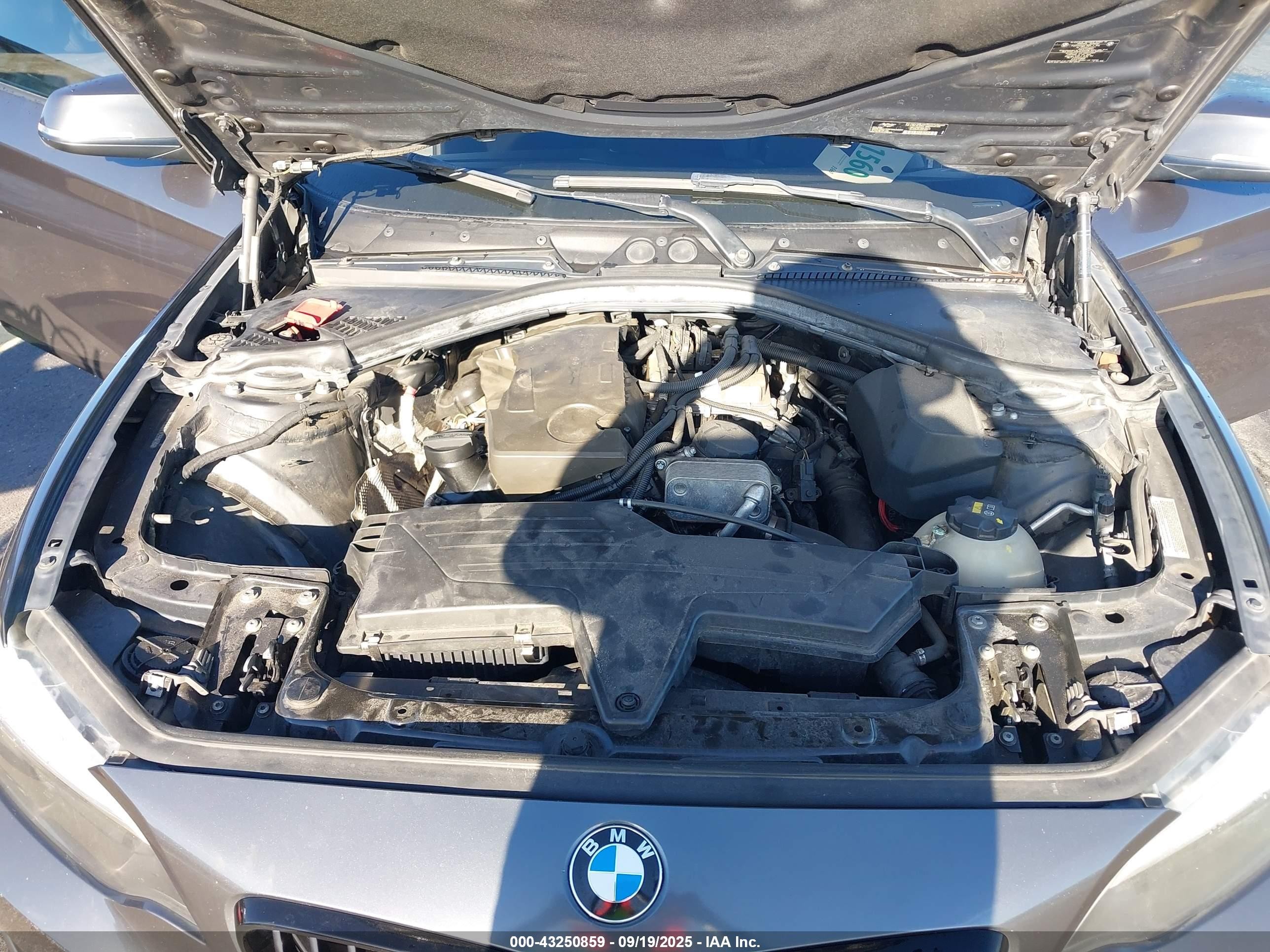 2014 Bmw 228i   Gray vin: WBA1F5C57EV255839