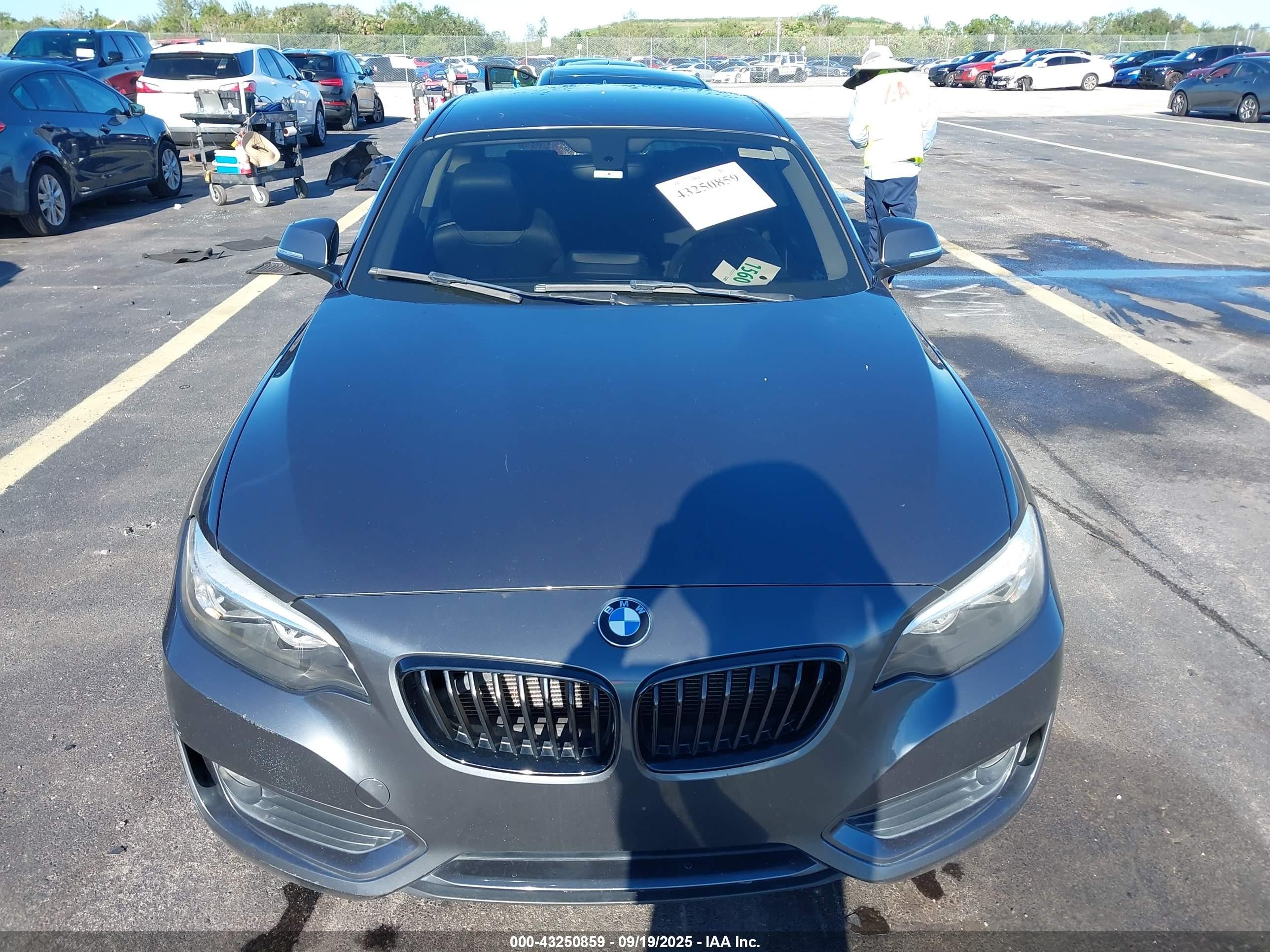 2014 Bmw 228i   Gray vin: WBA1F5C57EV255839