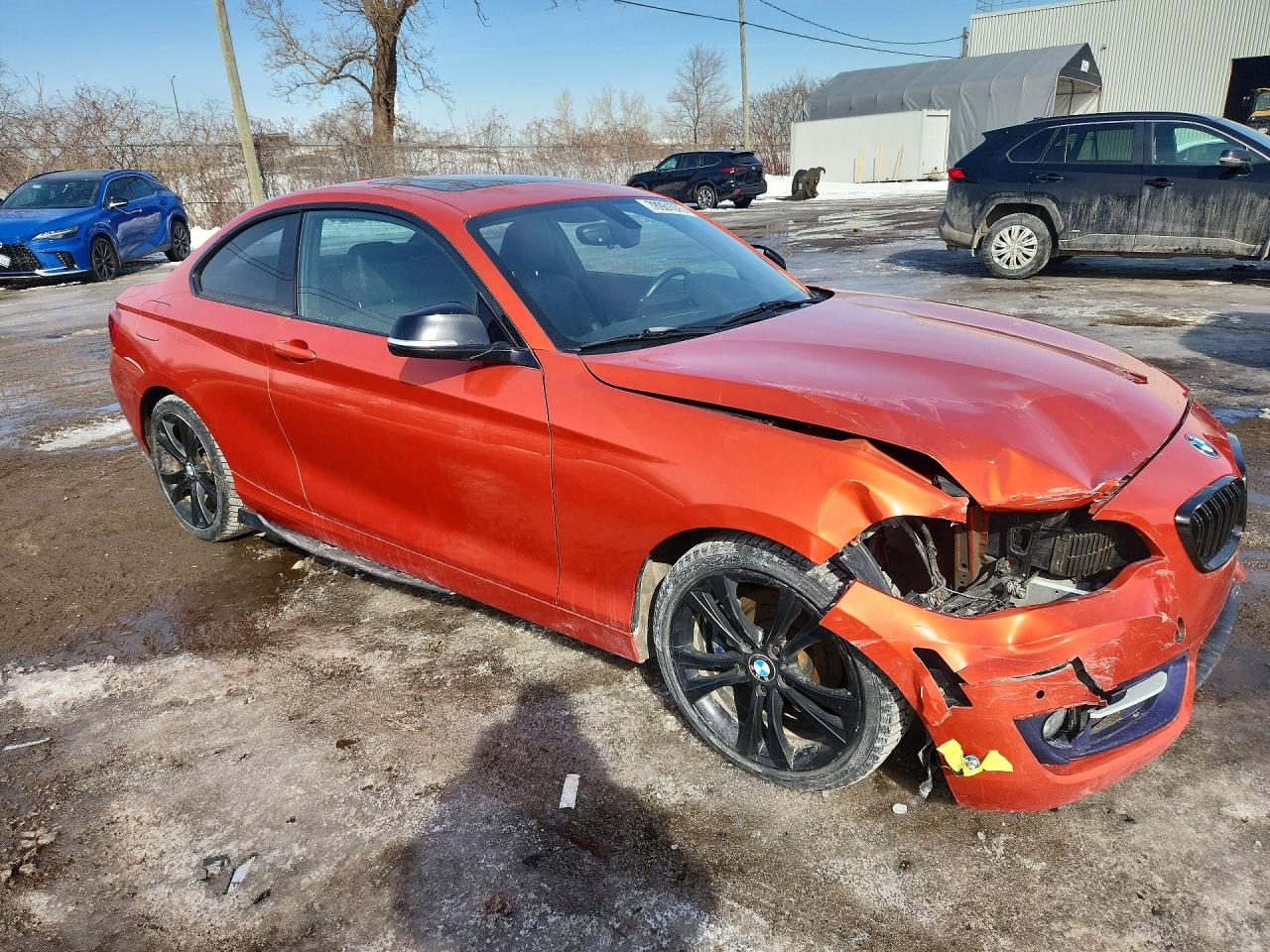 2014 Bmw 228 I Orange vin: WBA1F5C58EV255767
