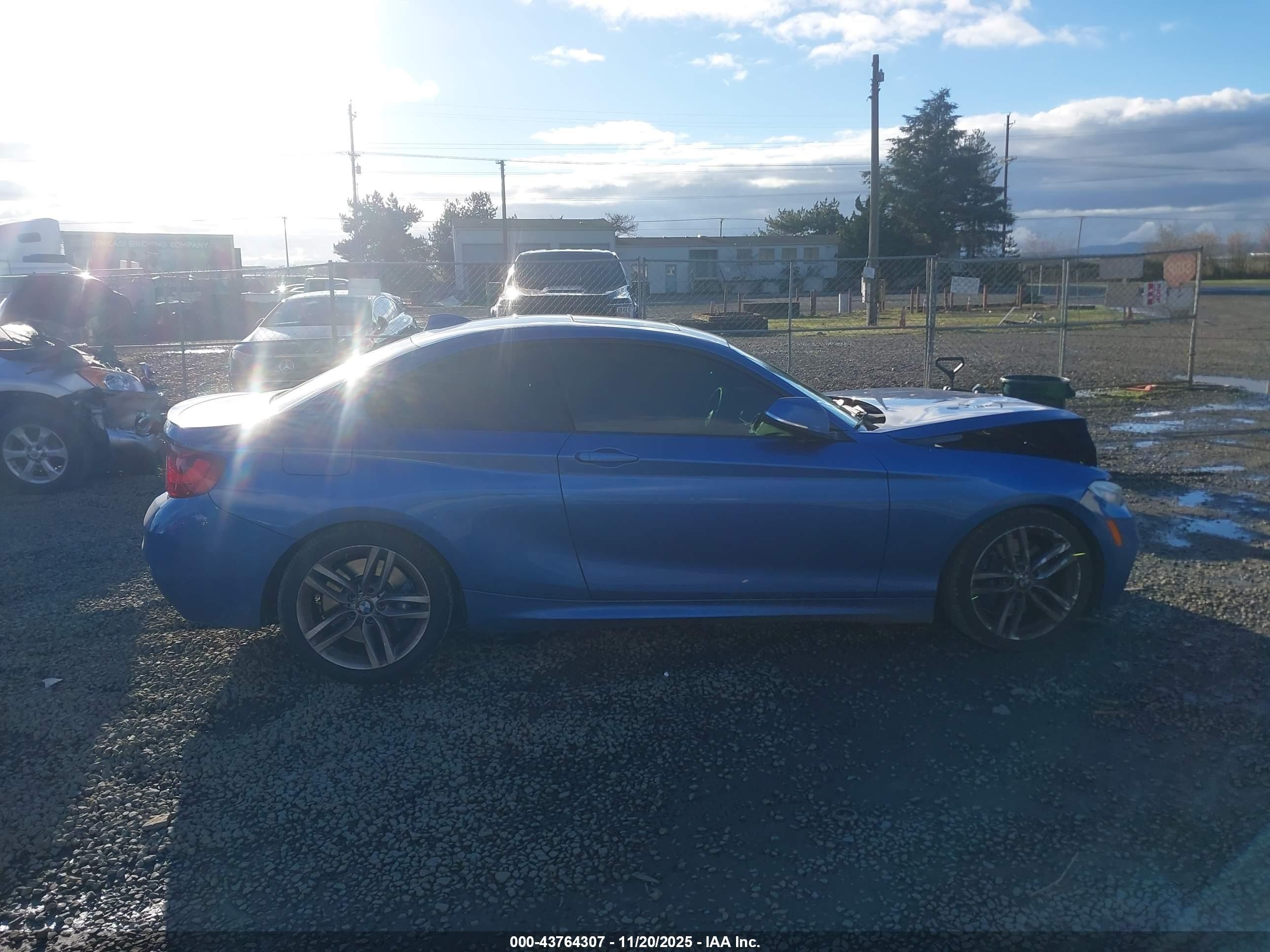 2014 Bmw 228i   Blue vin: WBA1F5C58EVV99745