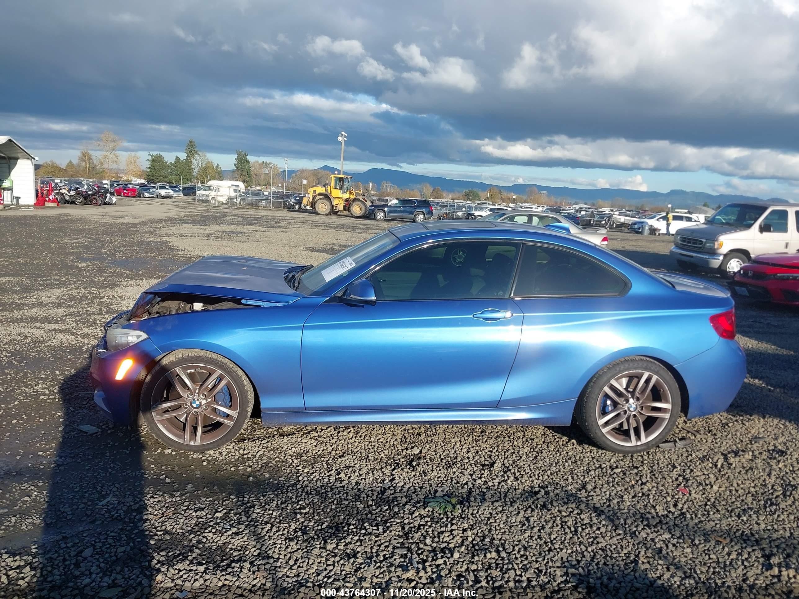 2014 Bmw 228i   Blue vin: WBA1F5C58EVV99745