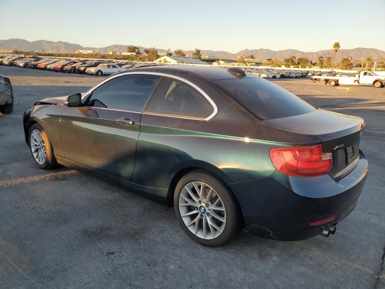 2015 Bmw 228 Xi Blue vin: WBA1F7C56FV367593