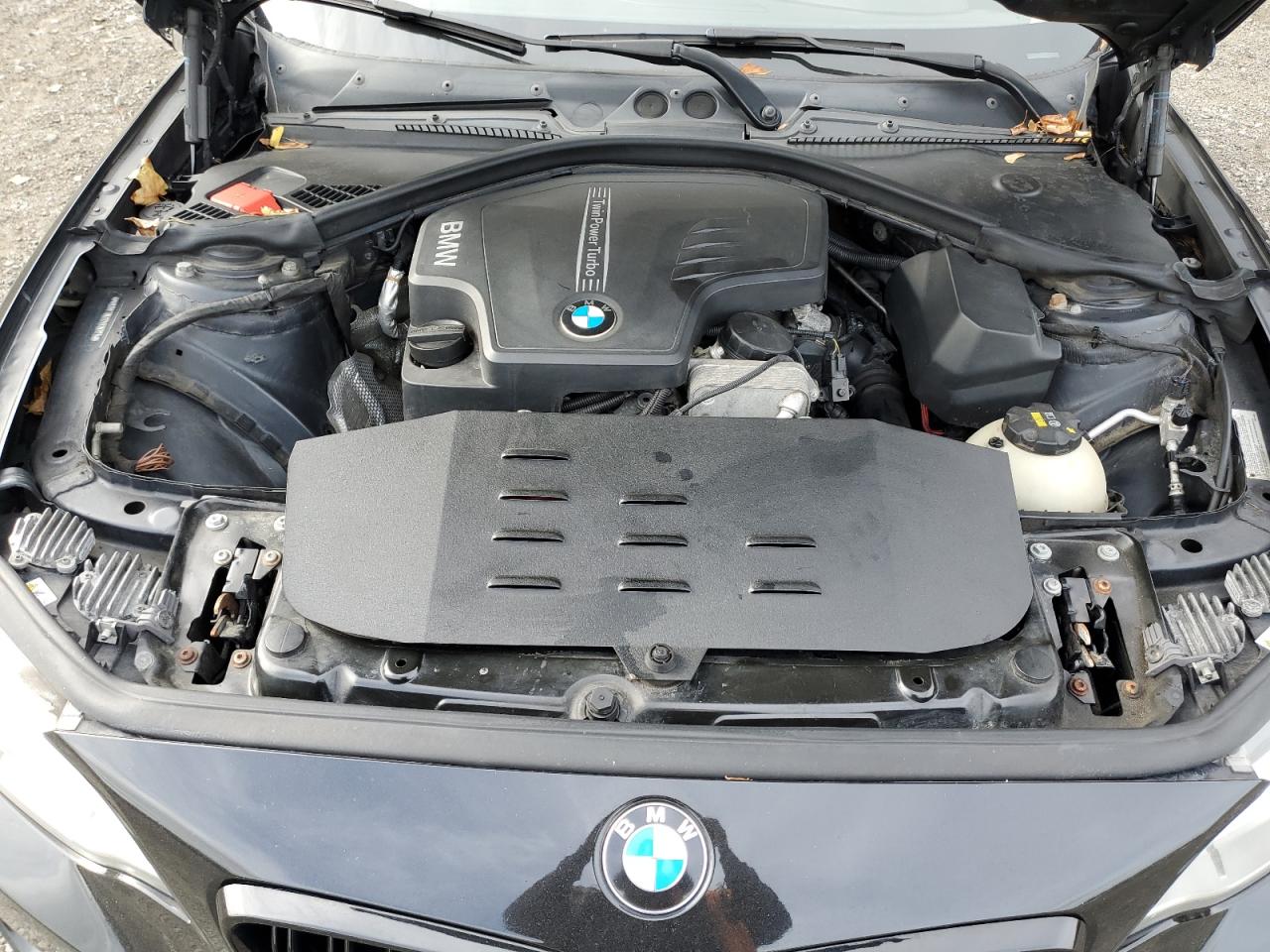 2015 Bmw 228 Xi Black vin: WBA1F7C57FVX96175
