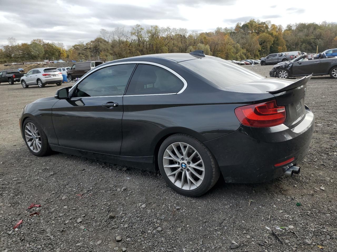 2015 Bmw 228 Xi Black vin: WBA1F7C57FVX96175