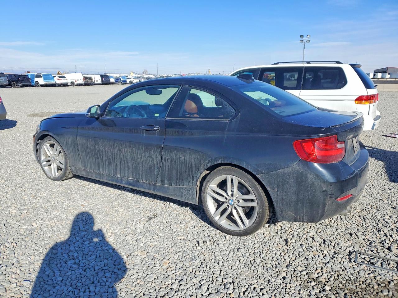 2015 Bmw 228 Xi Black vin: WBA1F7C5XFV367628