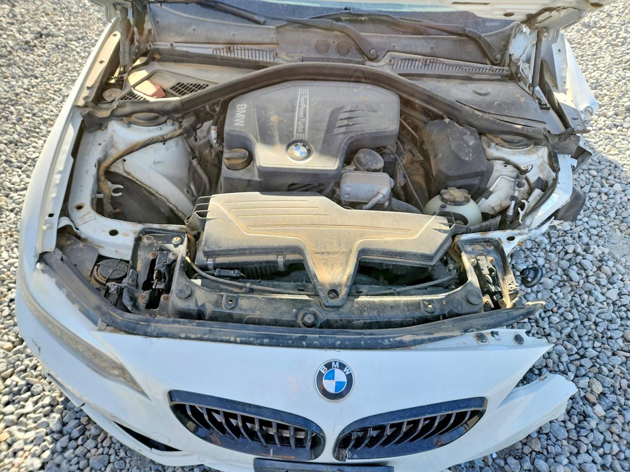 2015 Bmw 228 Xi Sulev White vin: WBA1G9C53FVX96795