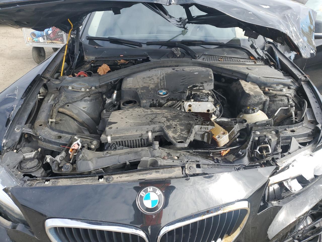 2015 Bmw 228 Xi Sulev Black vin: WBA1G9C58FVX96825