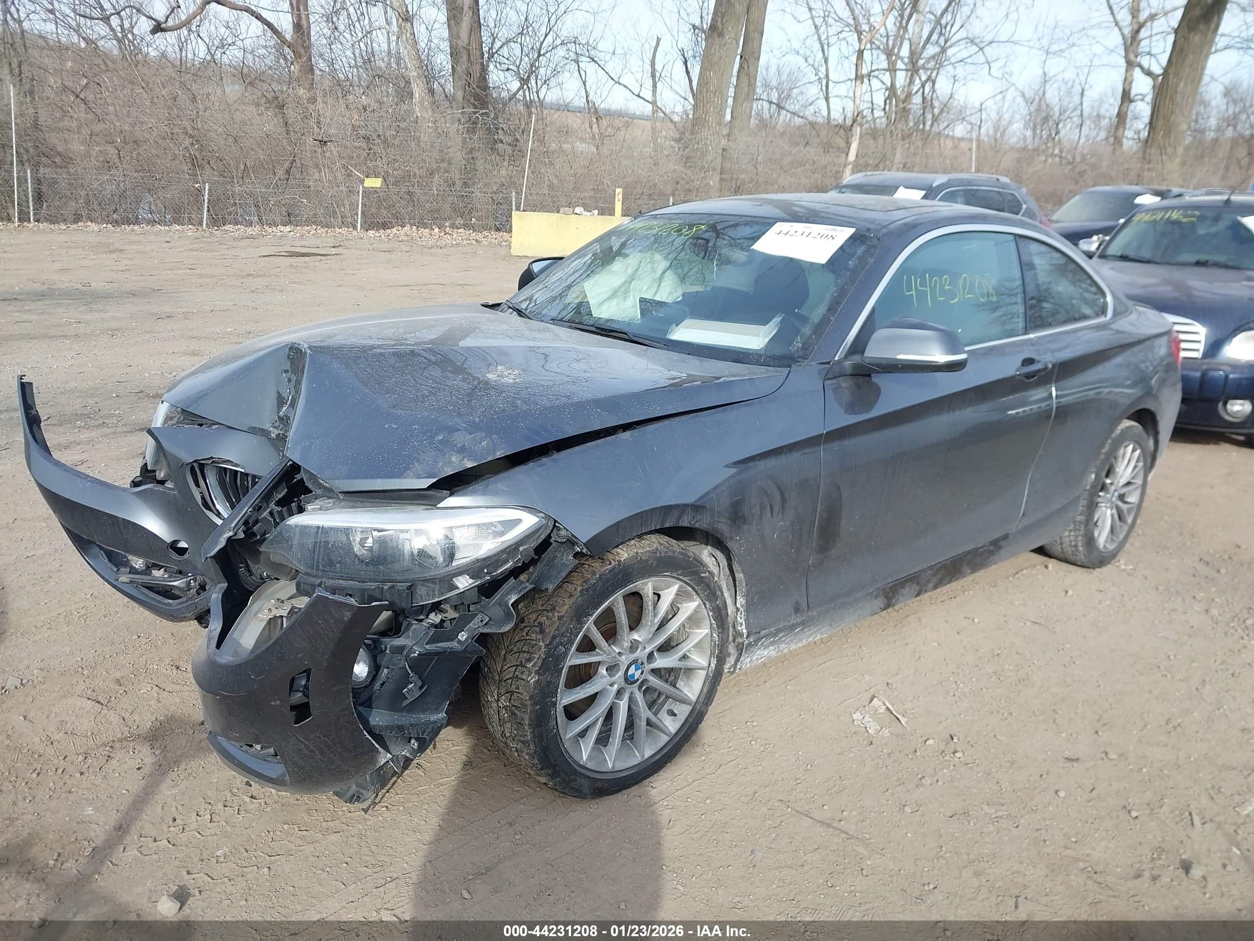 2016 Bmw 228i Xdrive Gray vin: WBA1G9C59GV599521