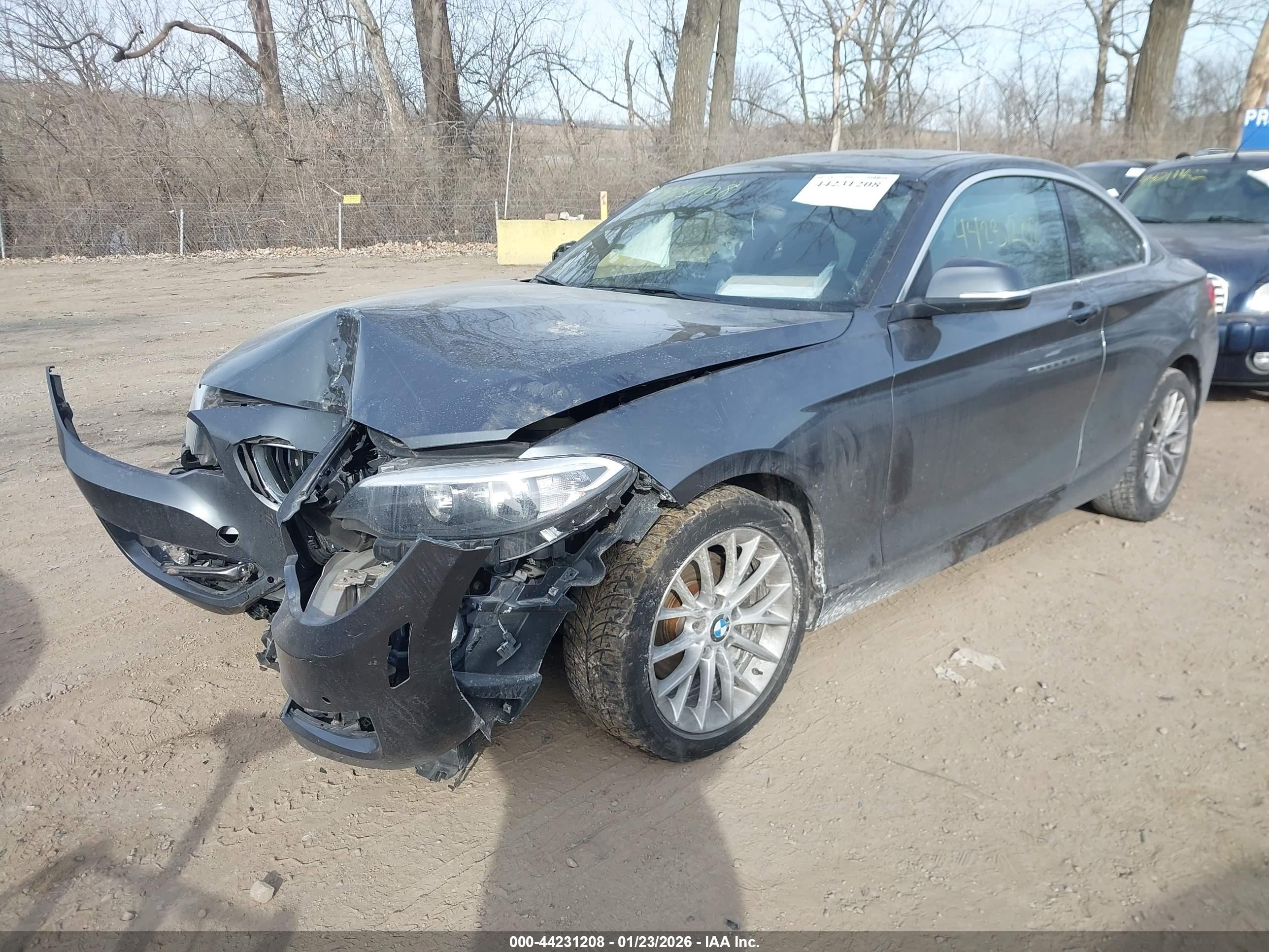 2016 Bmw 228i Xdrive Gray vin: WBA1G9C59GV599521