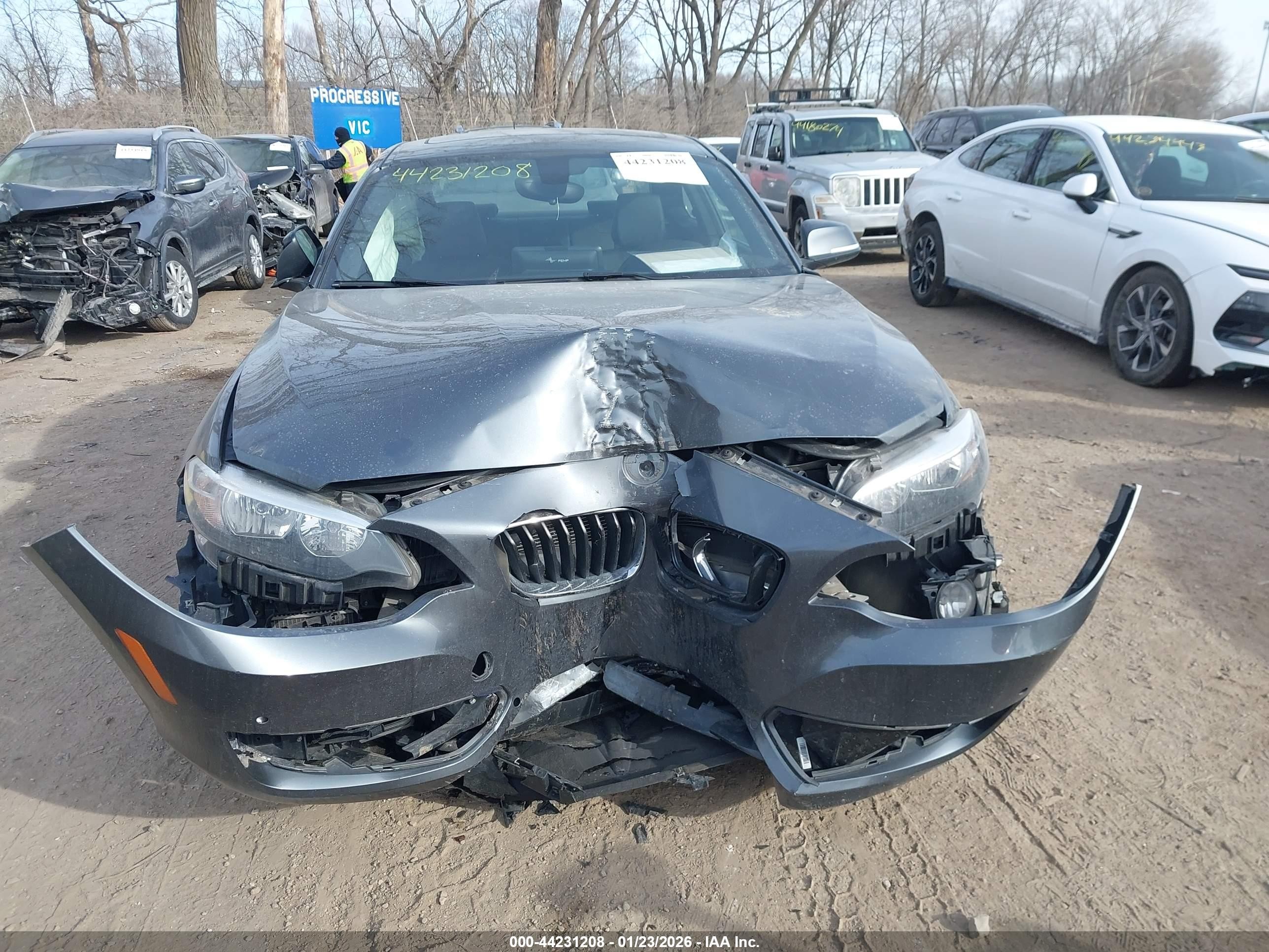 2016 Bmw 228i Xdrive Gray vin: WBA1G9C59GV599521