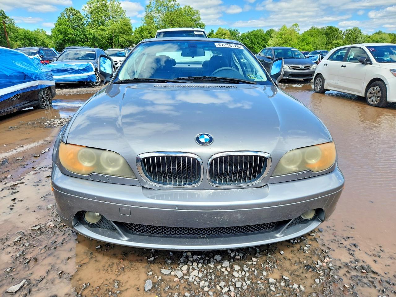 2004 Bmw 325 Ci Gray vin: WBABD33414PL02341