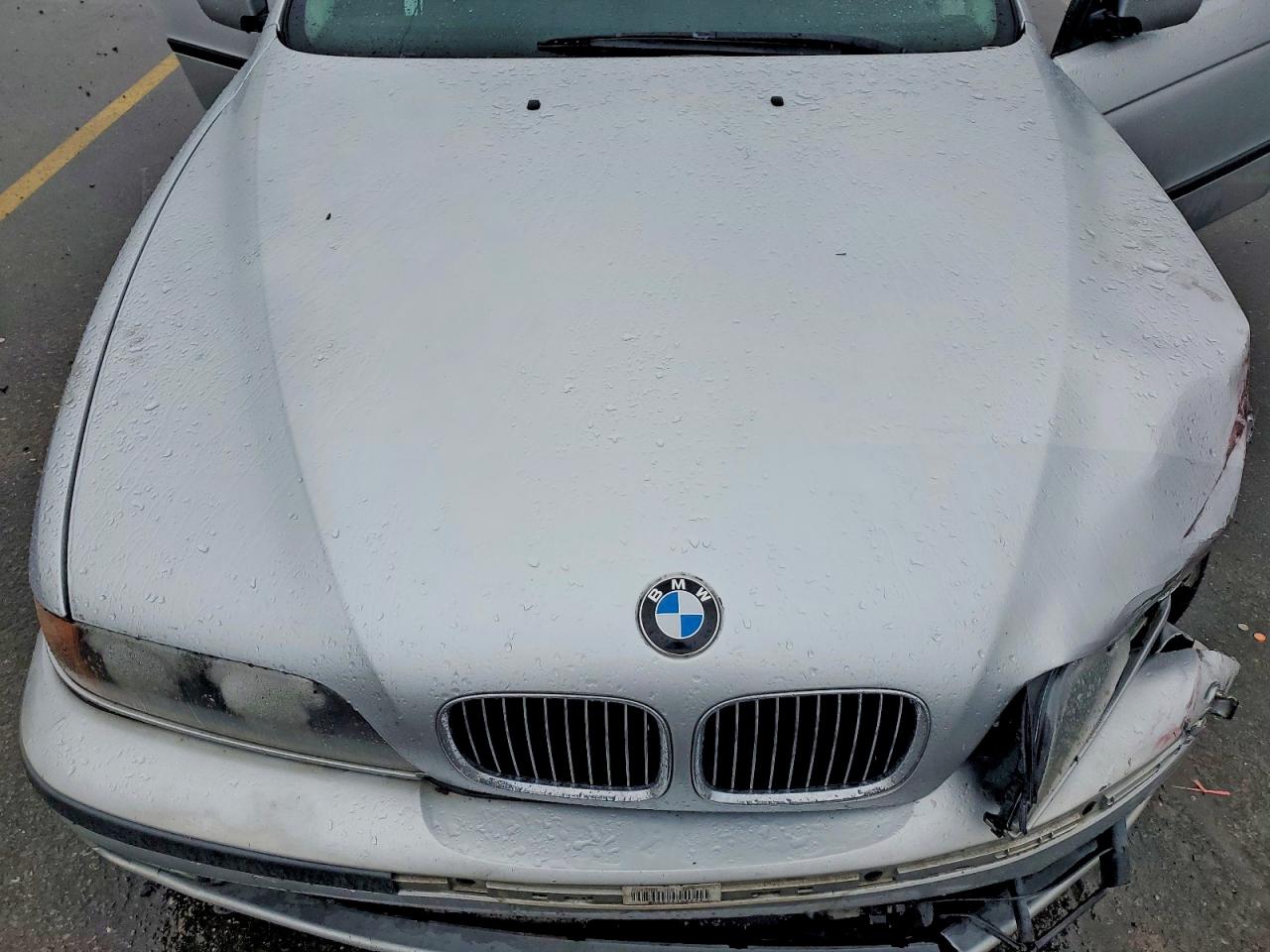 1999 Bmw 540 I Silver vin: WBADN5335XGC91604