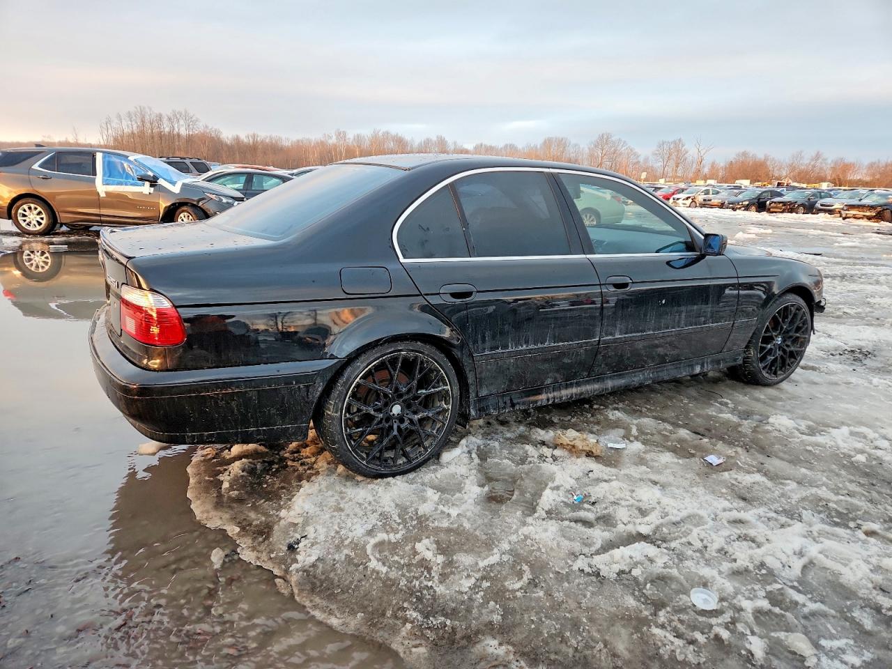 2001 Bmw 525 I Black vin: WBADT33431GF40539
