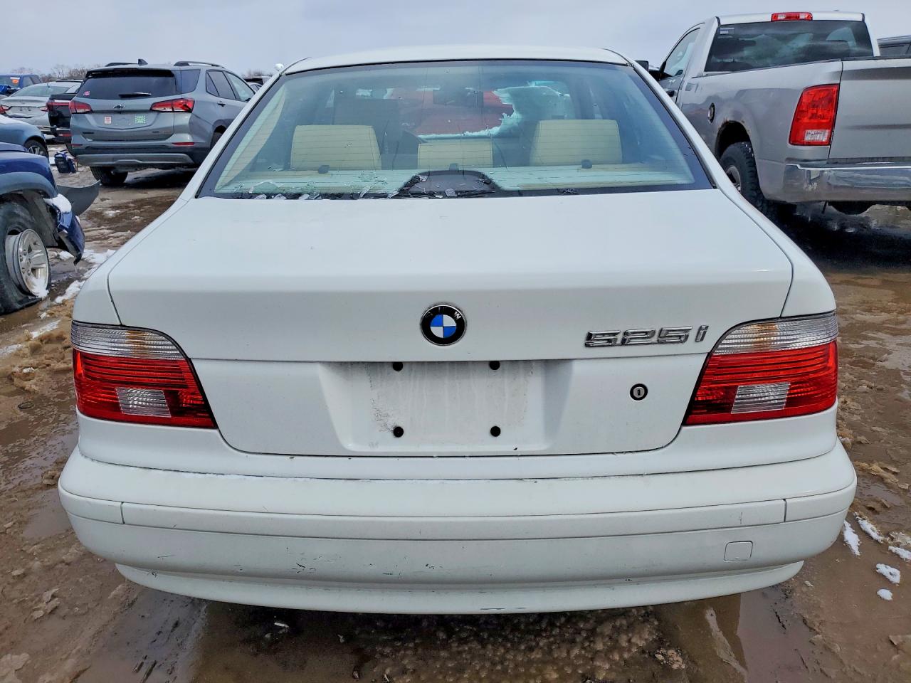 2001 Bmw 525i White vin: WBADT43431GF56360