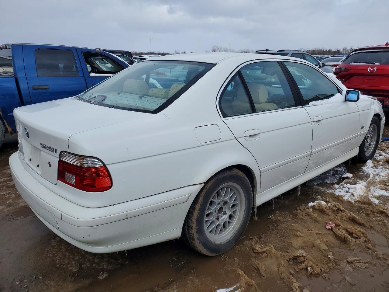 2001 Bmw 525i White vin: WBADT43431GF56360