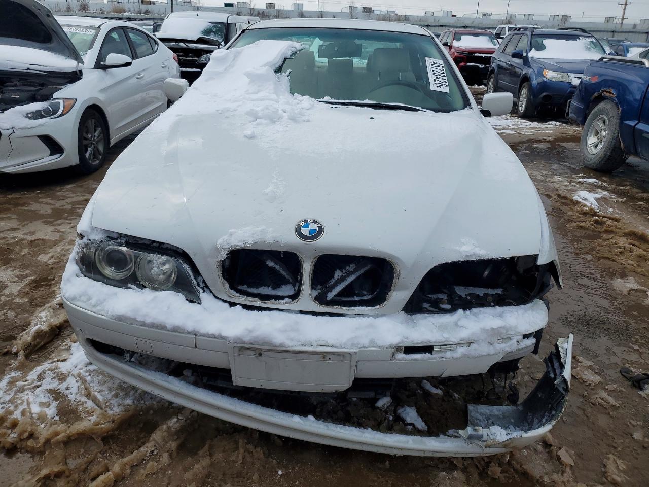 2001 Bmw 525i White vin: WBADT43431GF56360