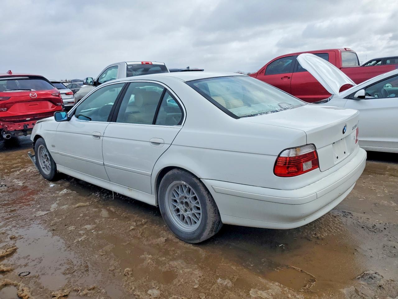 2001 Bmw 525i White vin: WBADT43431GF56360