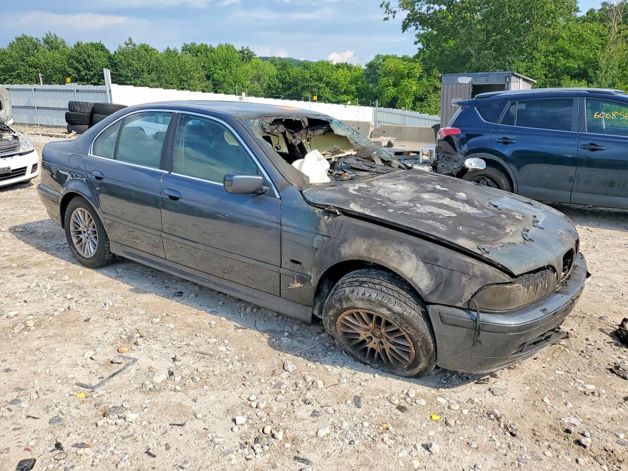 2001 Bmw 530 I Blue vin: WBADT53491CE91852