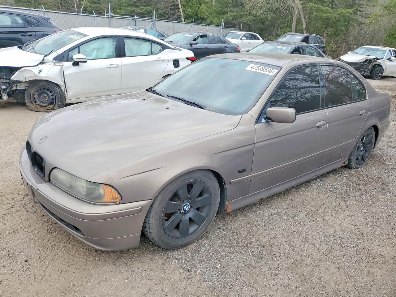 2002 Bmw 530 I Gold vin: WBADT63482CH93091