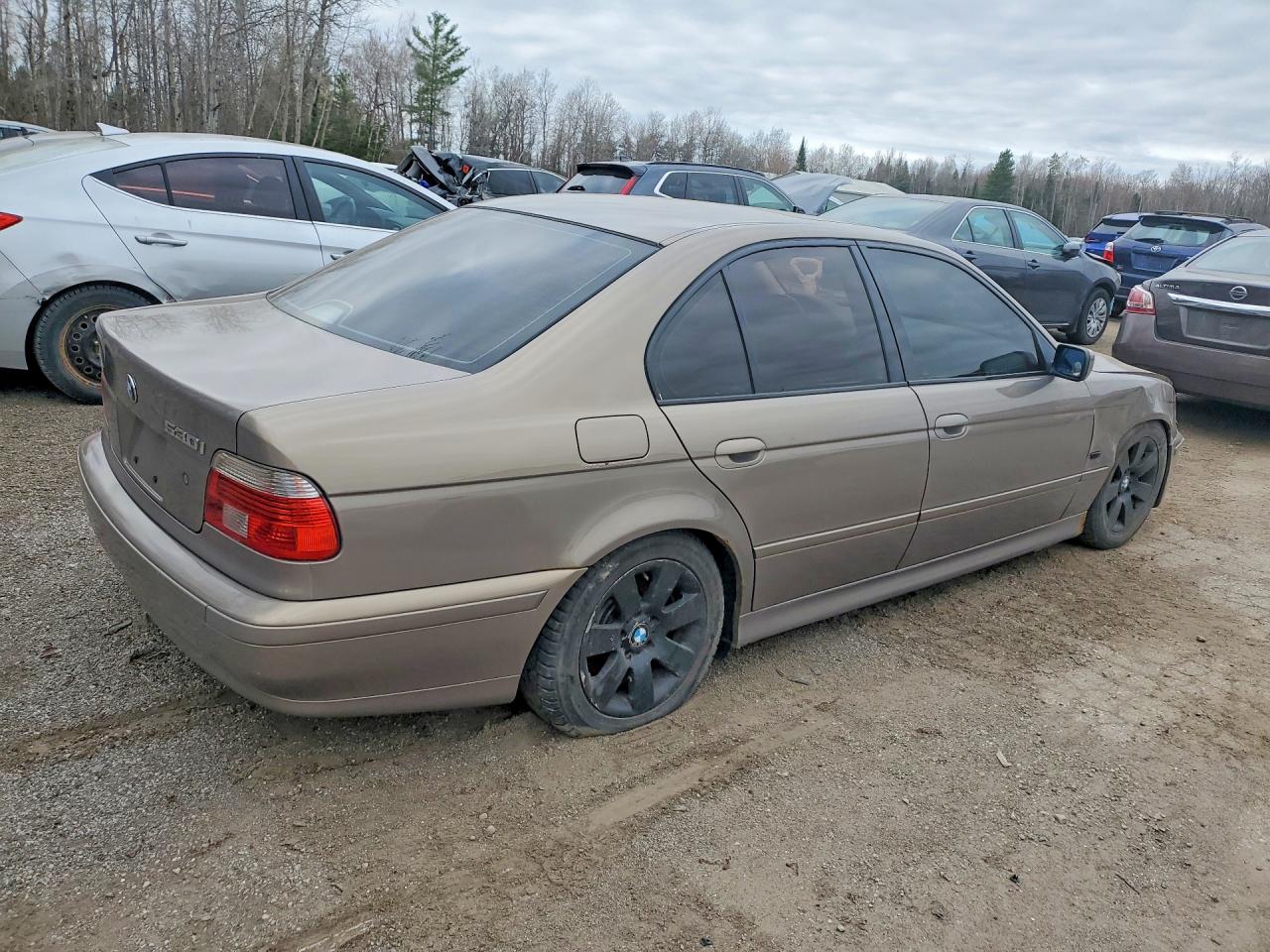 2002 Bmw 530 I Gold vin: WBADT63482CH93091