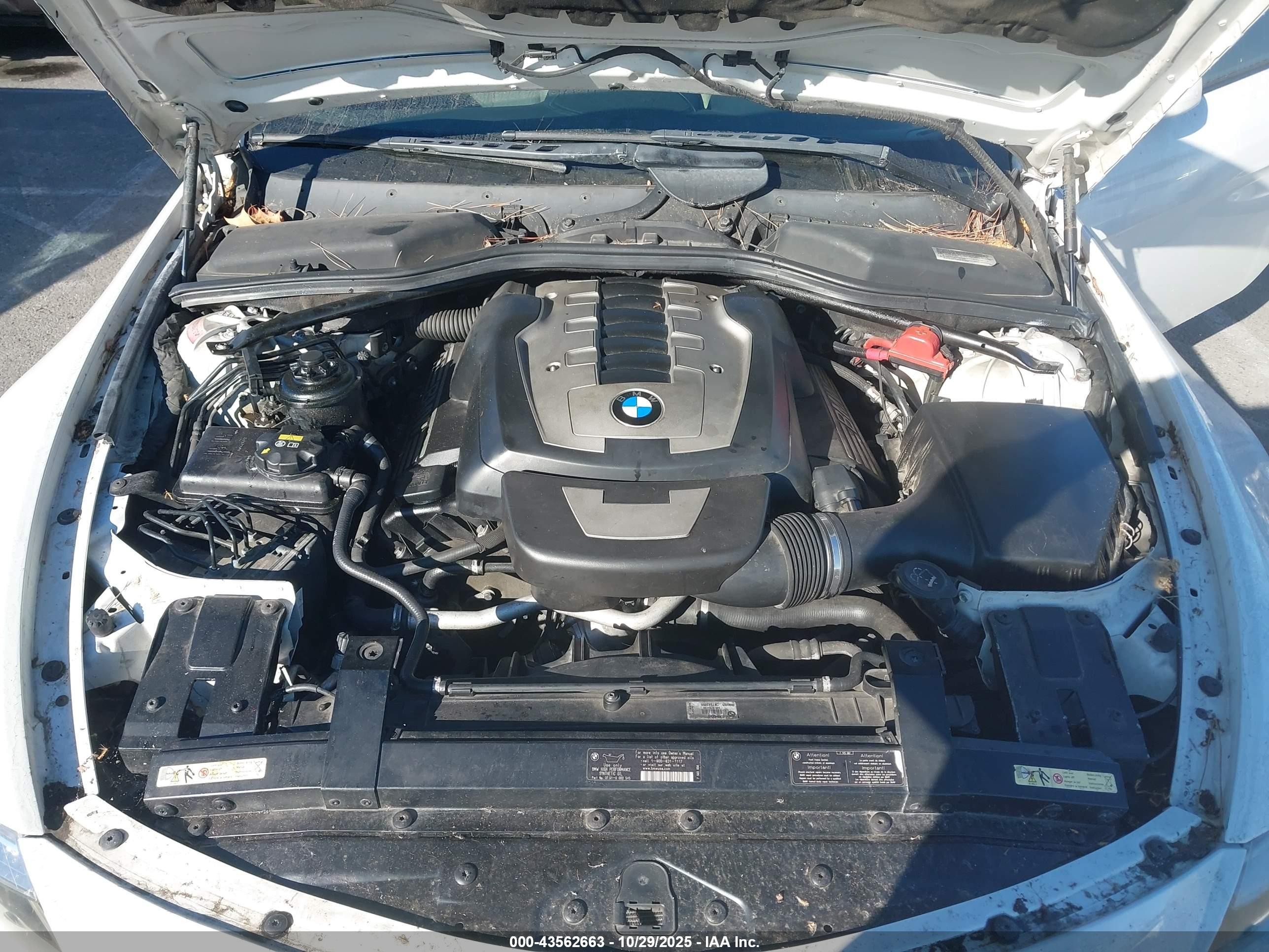 2009 Bmw 650i   White vin: WBAEB53589CX64272