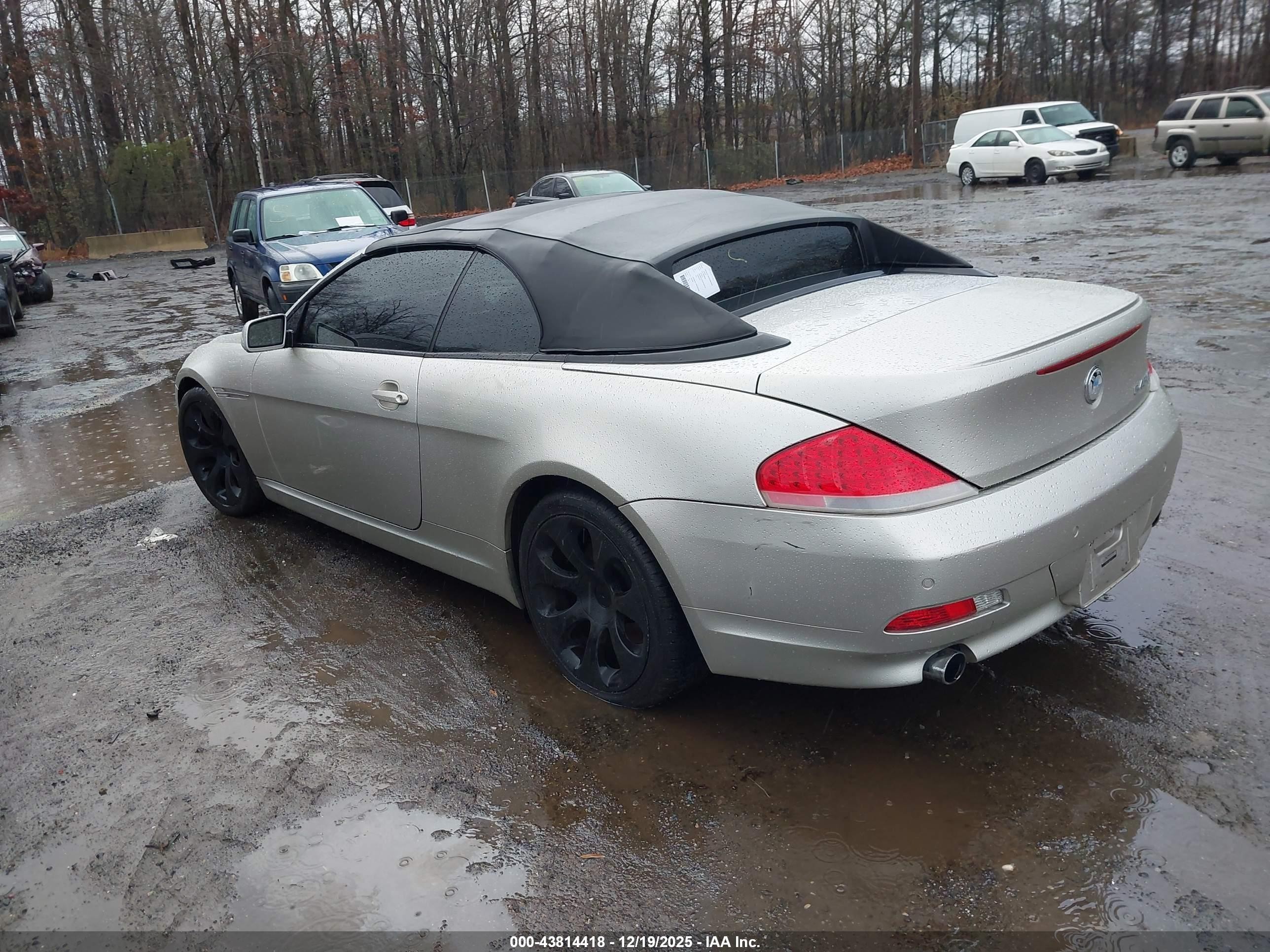 2005 Bmw 645ci   Gold vin: WBAEK73445B324732