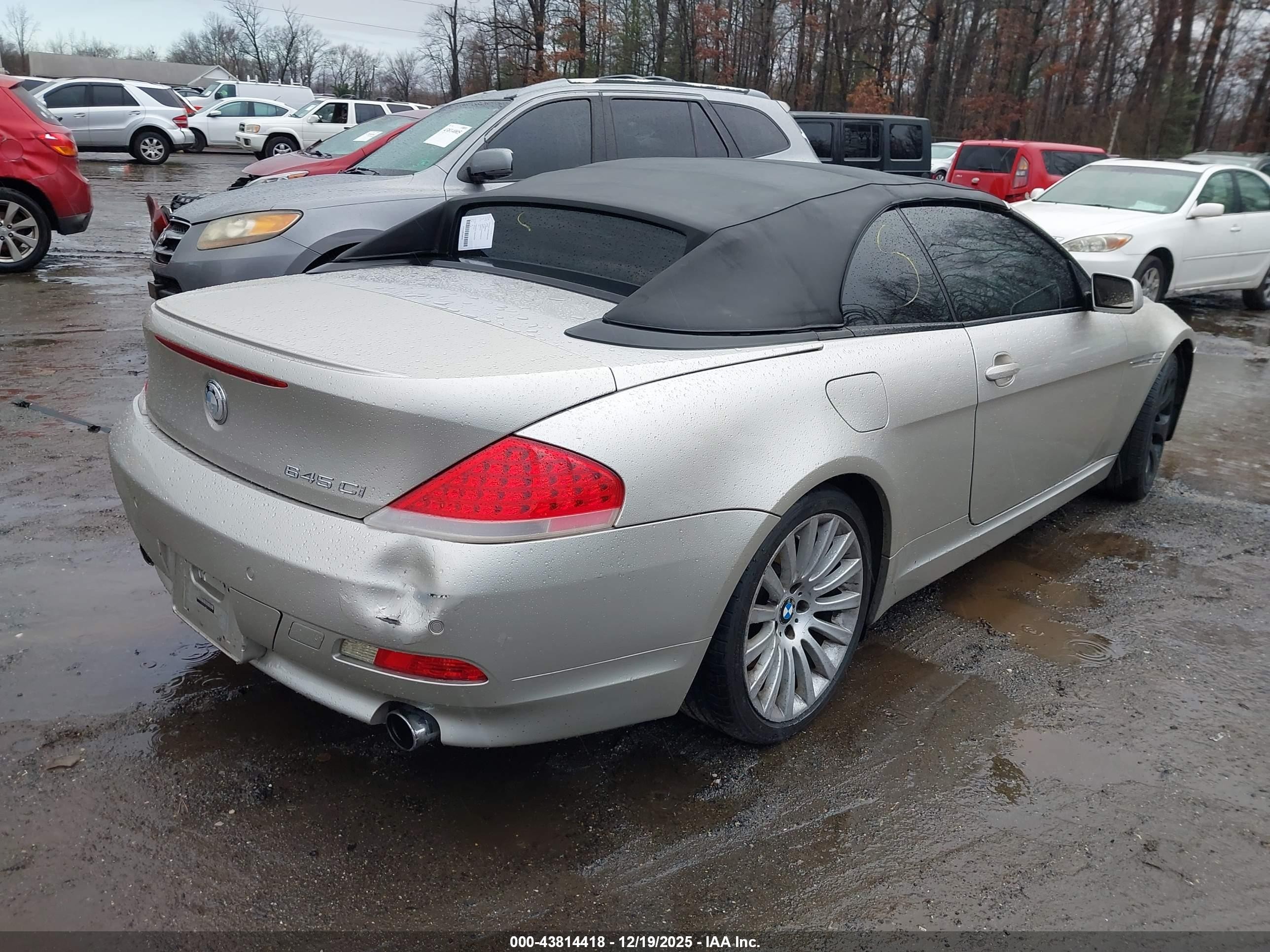 2005 Bmw 645ci   Gold vin: WBAEK73445B324732