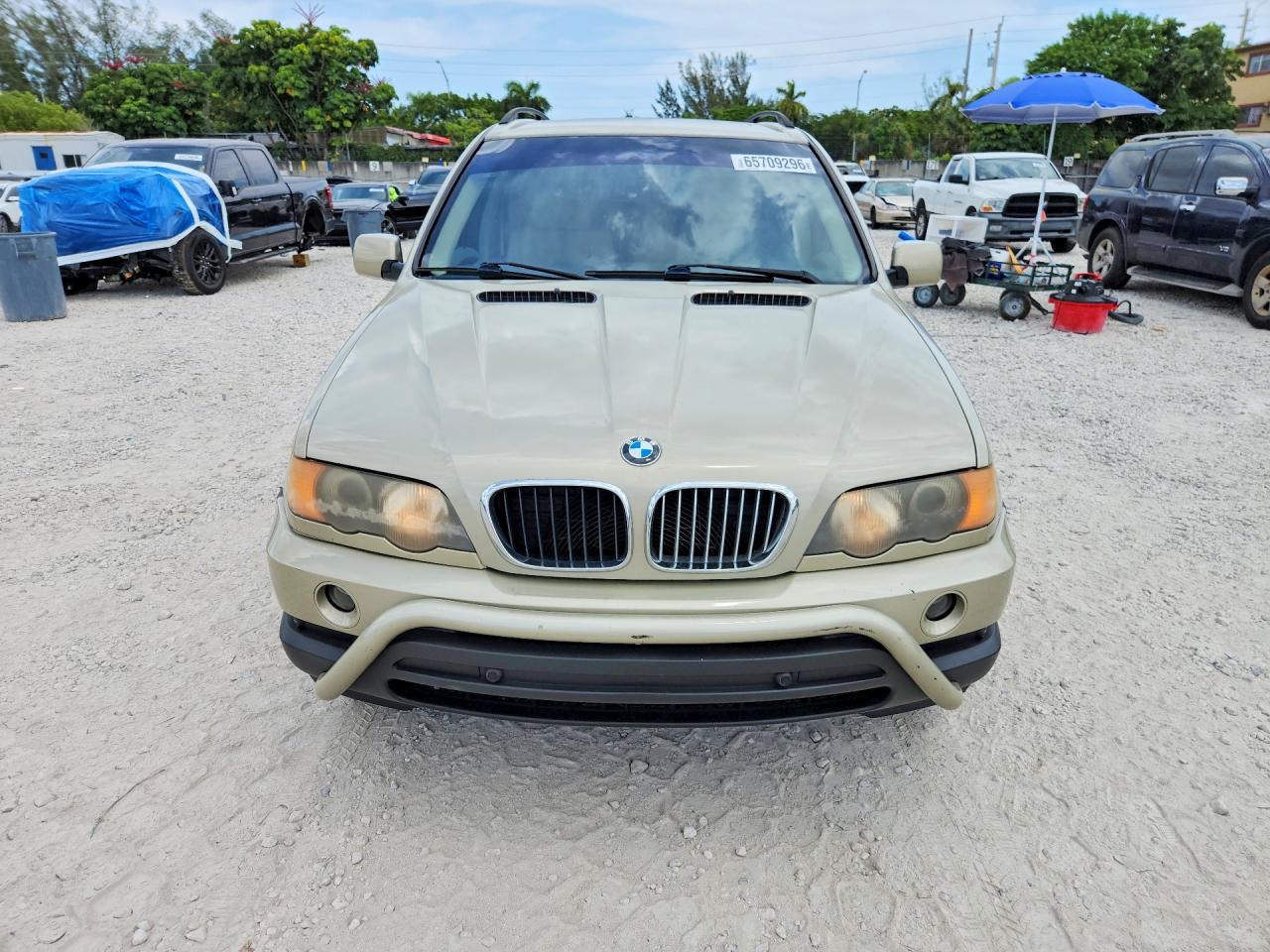 2001 Bmw X5 3.0i Бежевый vin: WBAFA53501LM83532