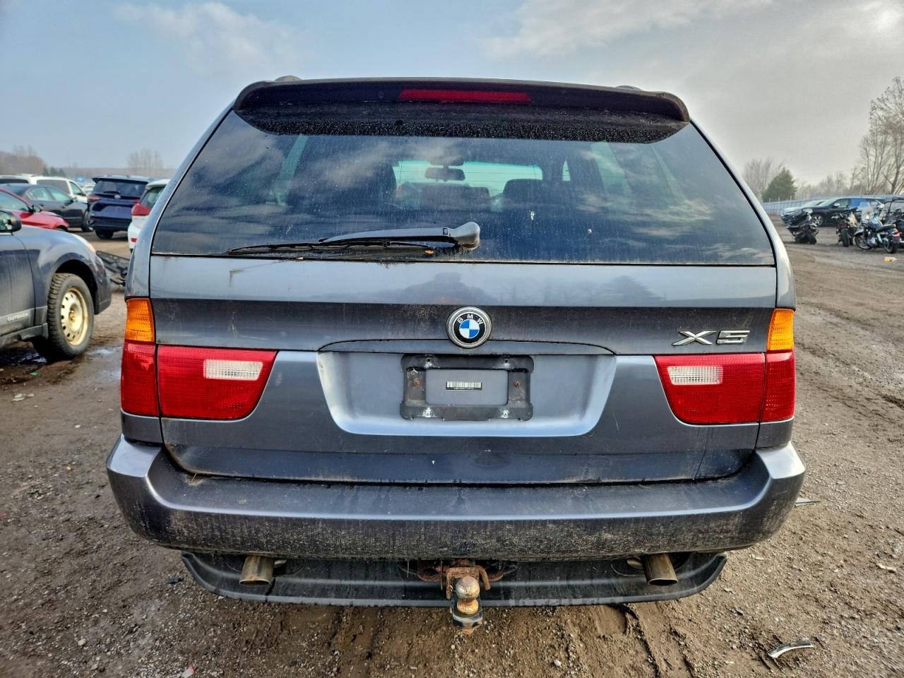 2001 Bmw X5 3.0i Gray vin: WBAFA53551LM83266