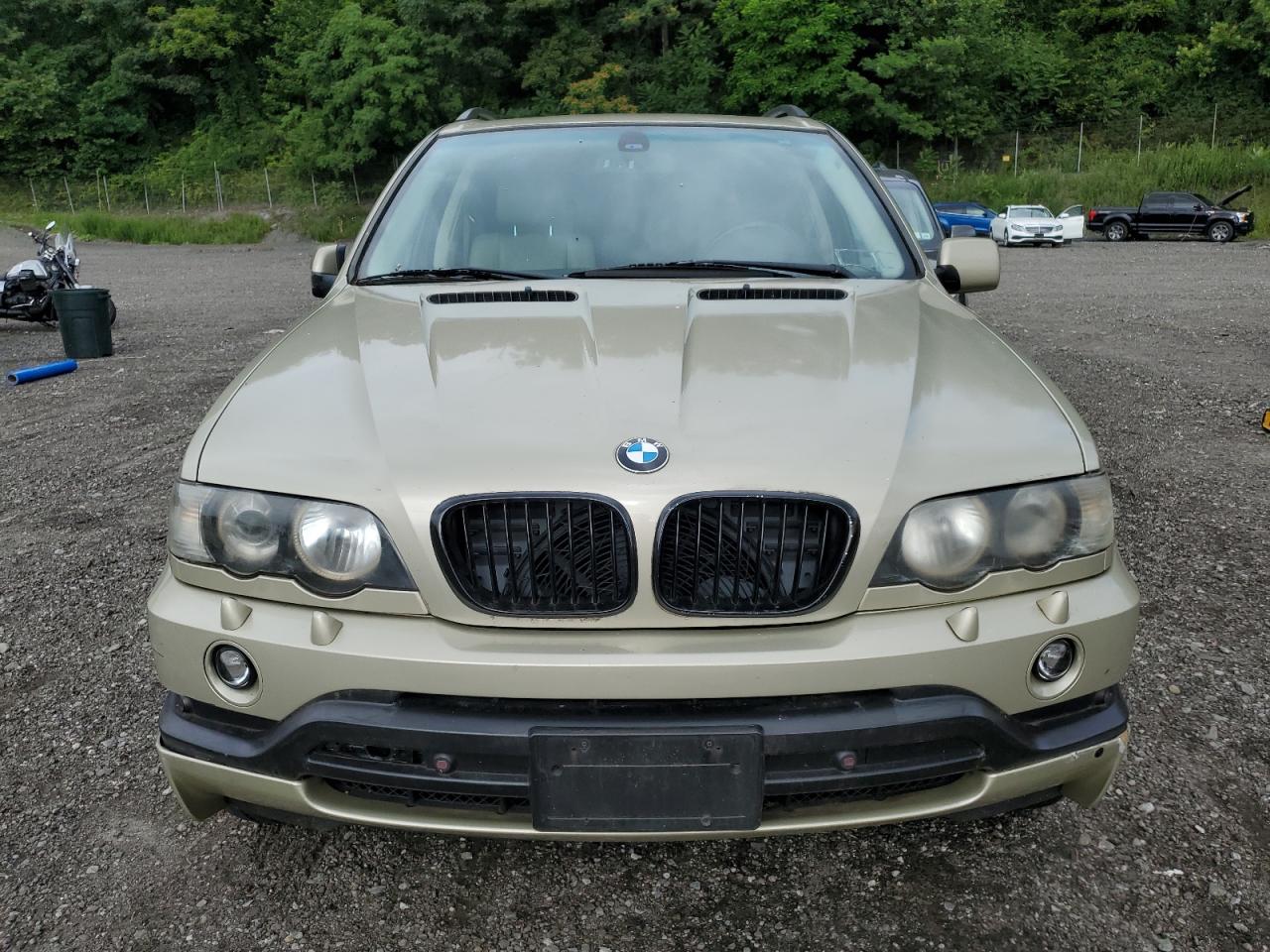 2000 Bmw X5 4.4i Золотой vin: WBAFB3350YLH03881