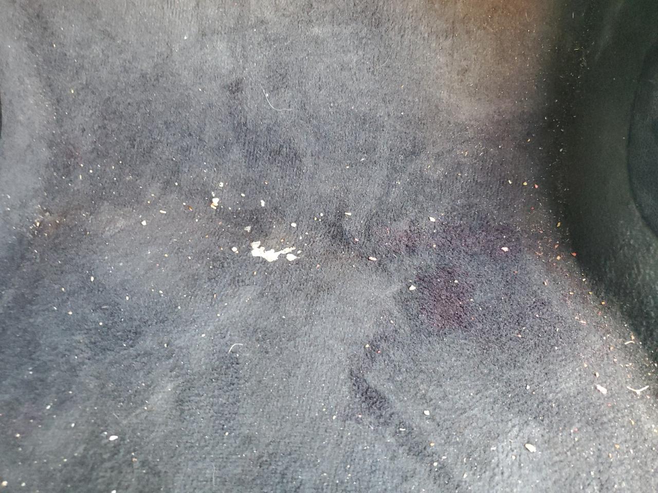 2013 Bmw 535 I Black vin: WBAFR7C54DC819742 Damage: Right Front Carpet, Stained, Permanent