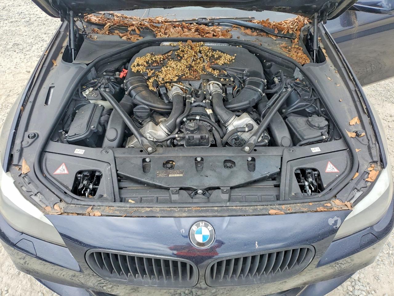 2013 Bmw 550 I Blue vin: WBAFR9C51DDX80629