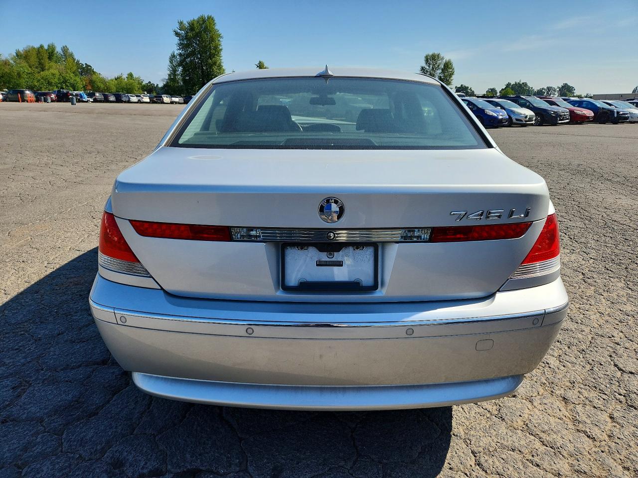 2003 Bmw 745 Li Silver vin: WBAGN63473DR13110