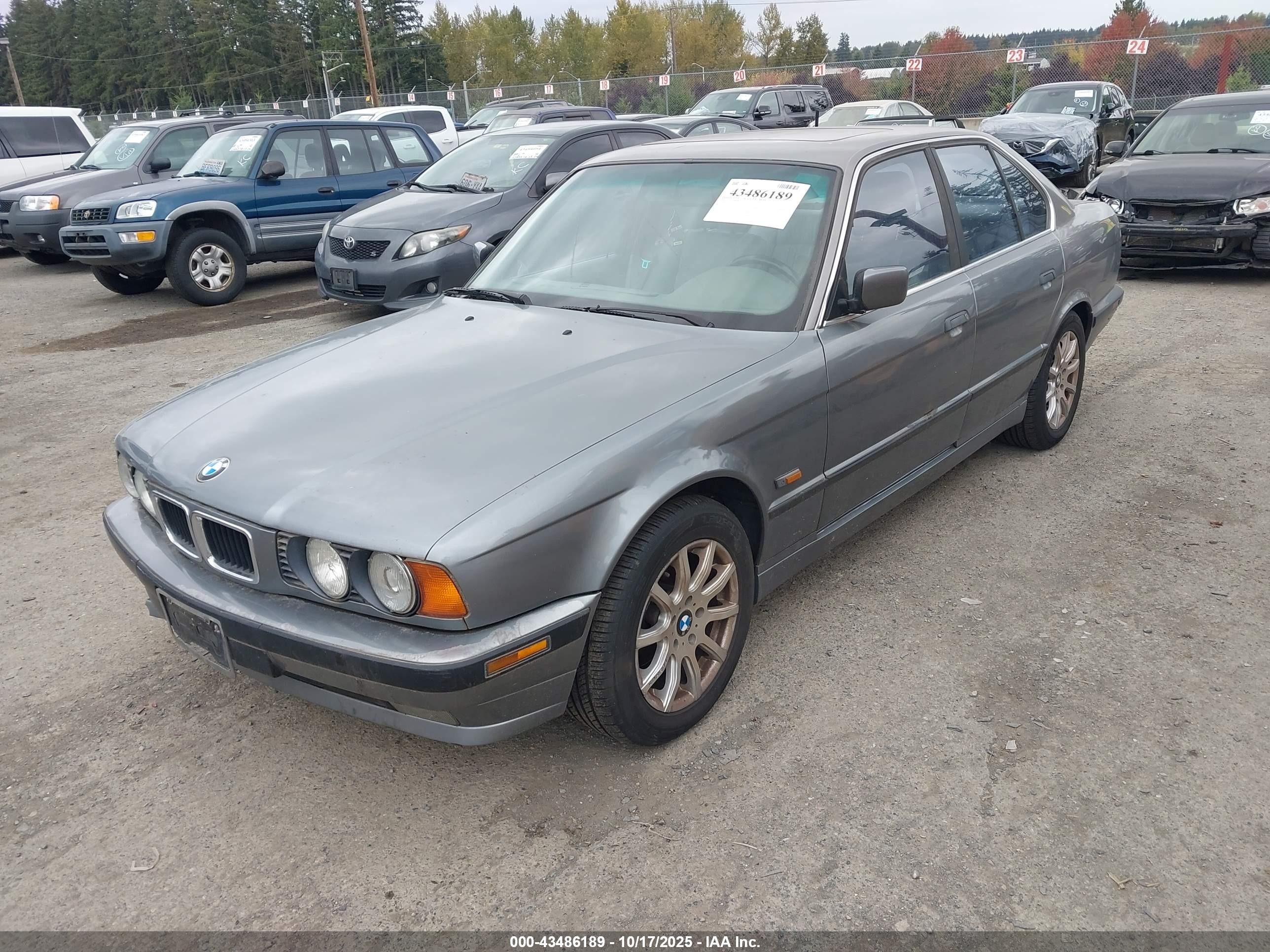 1995 Bmw 530 I Automatic Gray vin: WBAHE2322SGE91811