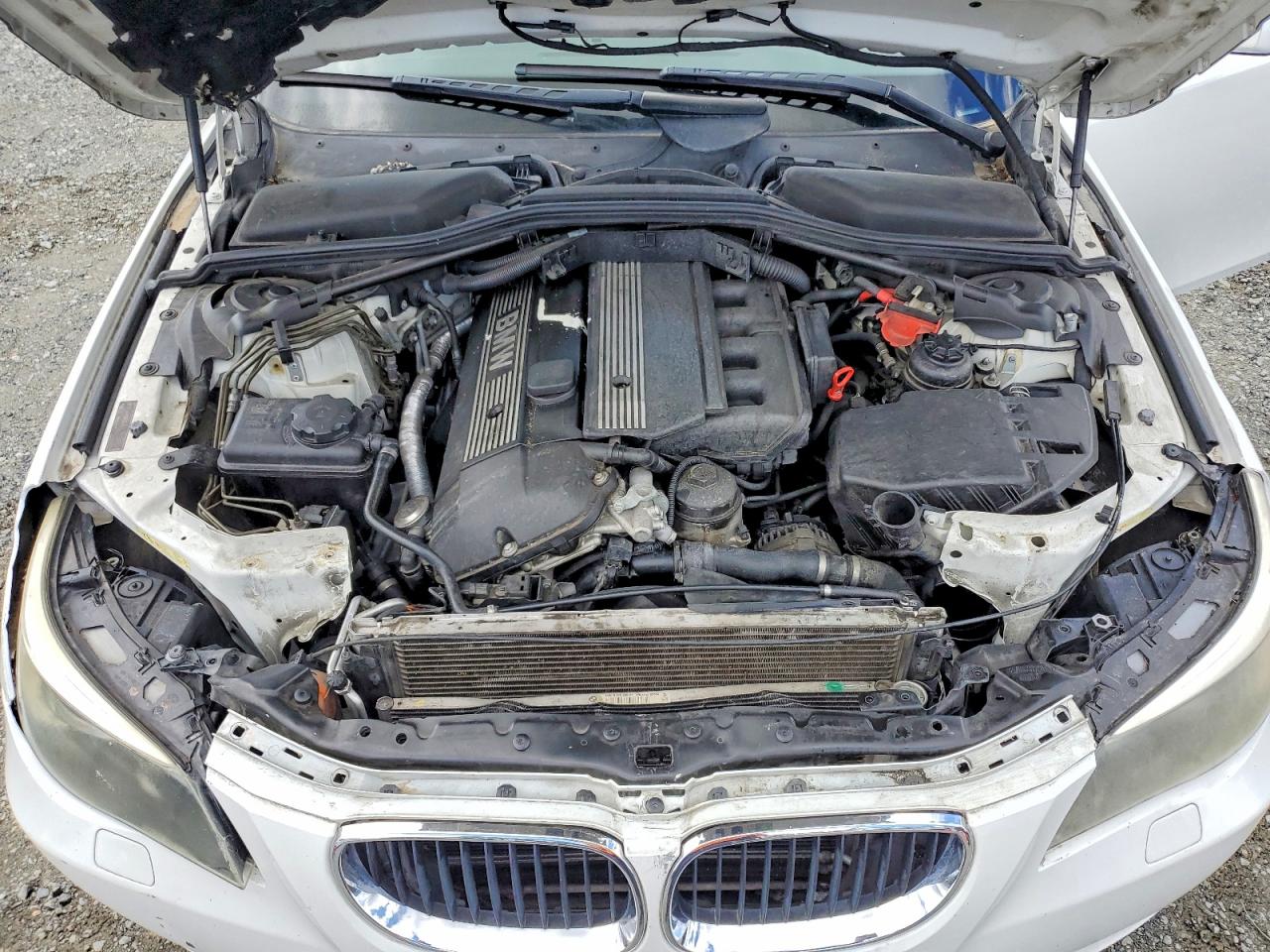 2005 Bmw 525 I Белый vin: WBANA53525B858490