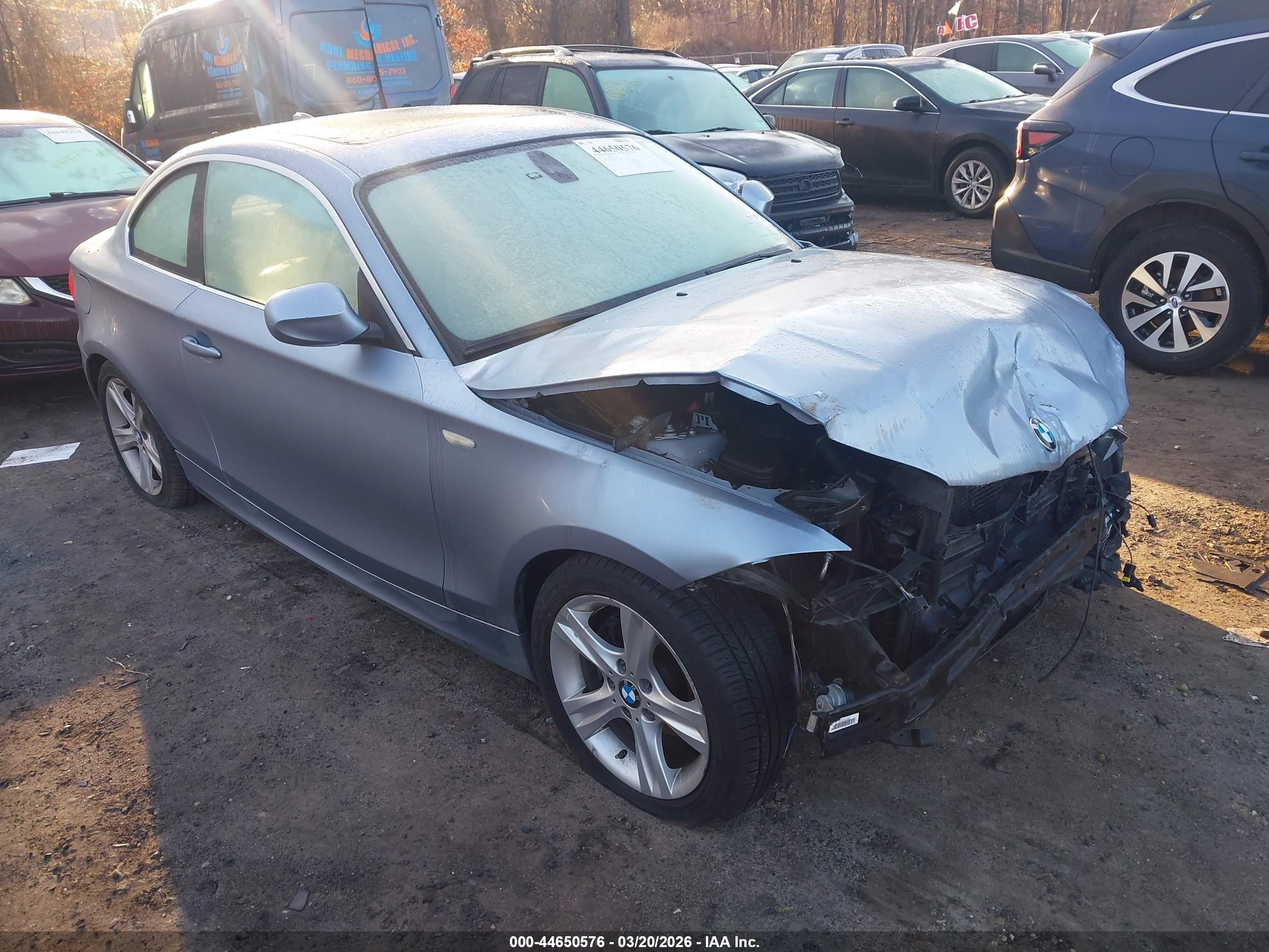 2013 Bmw 128i   Blue vin: WBAUP9C55DVS94736
