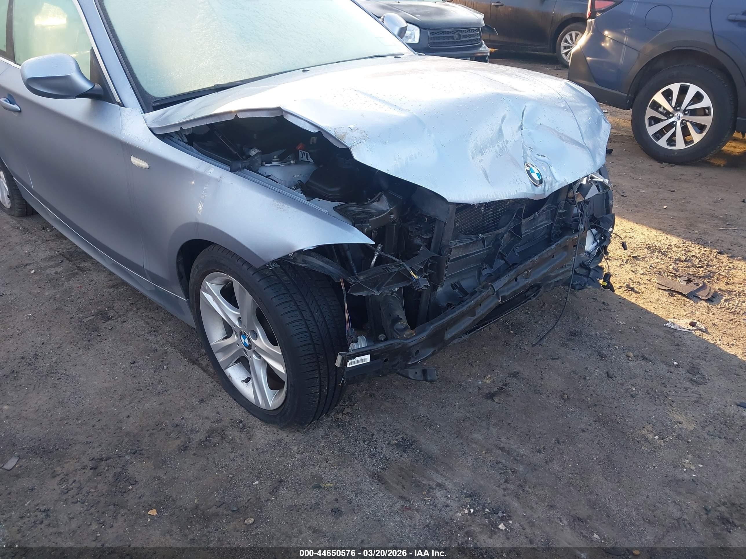 2013 Bmw 128i   Blue vin: WBAUP9C55DVS94736