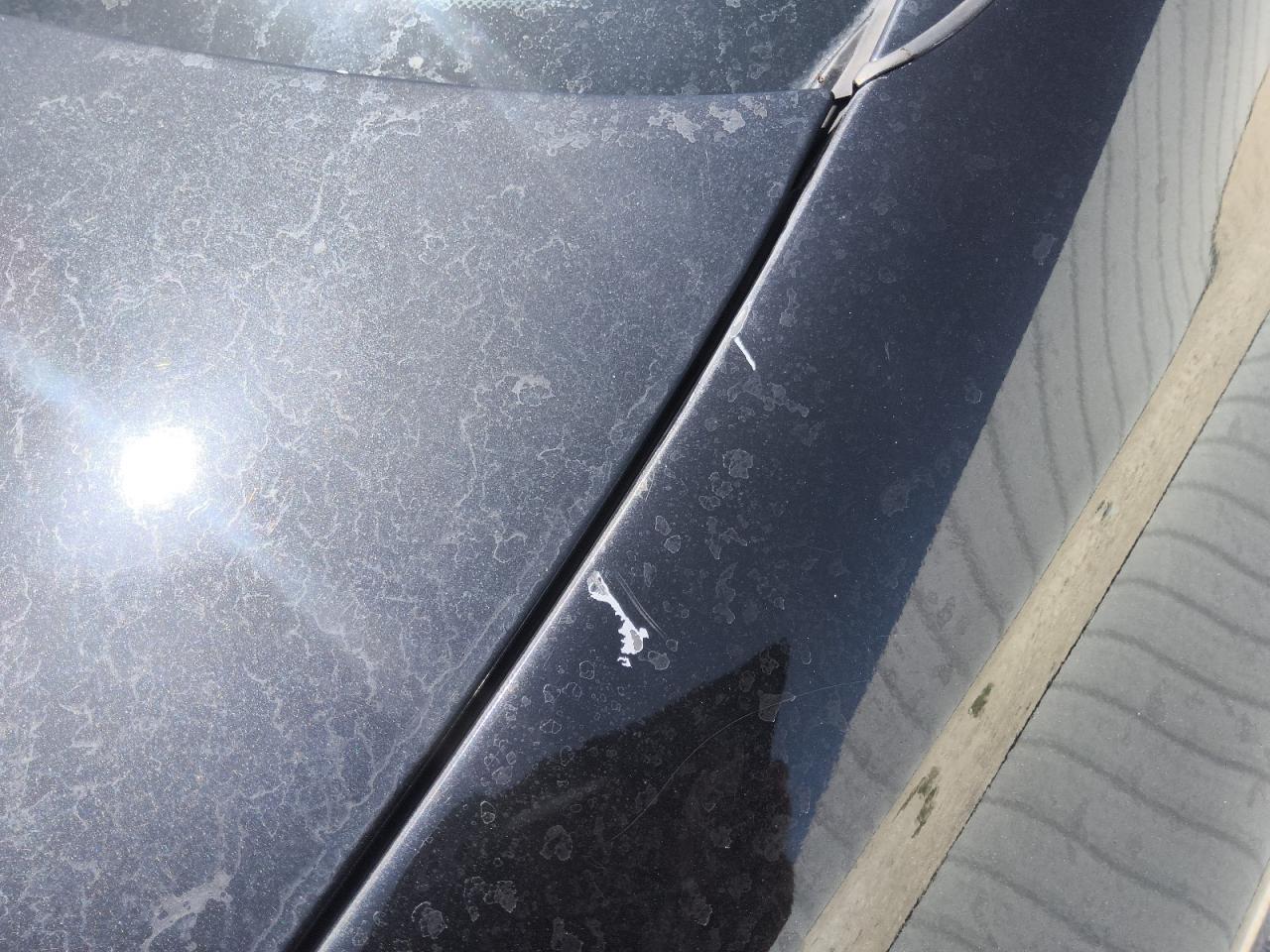 2013 Bmw 750 I Черный vin: WBAYA8C55DC996578 Damage: Right Qtr Panel, Multiple Scratches Heavy, 3