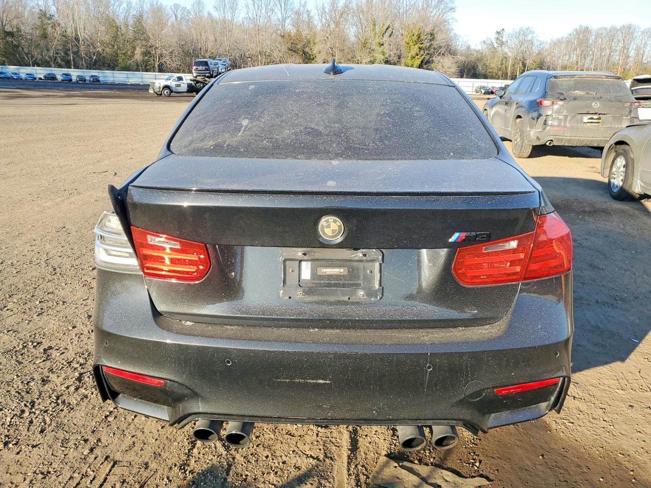 2015 Bmw Motorrad M3 Black vin: WBS3C9C56FP805123