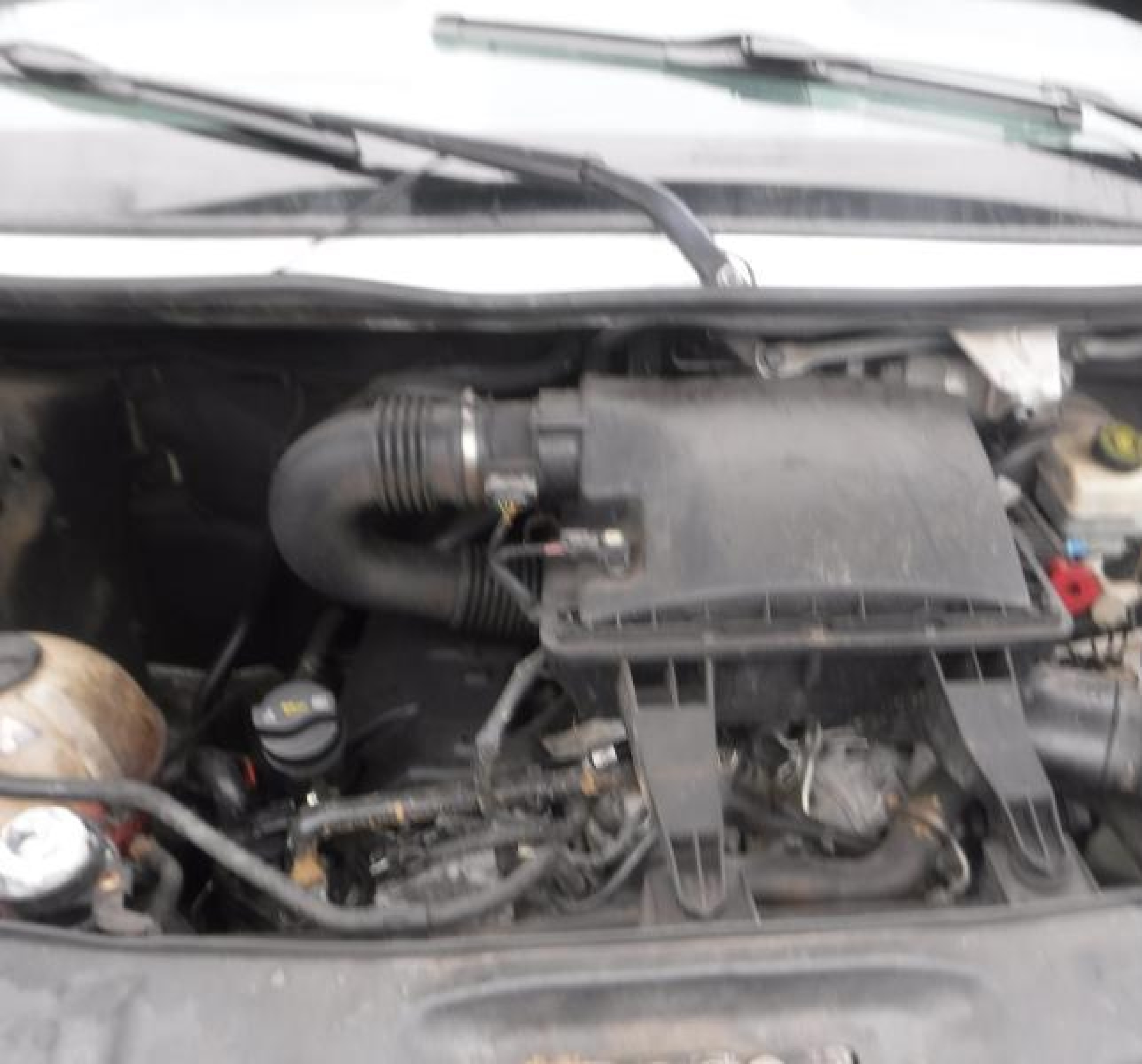 WD3PE8CB7C5701860