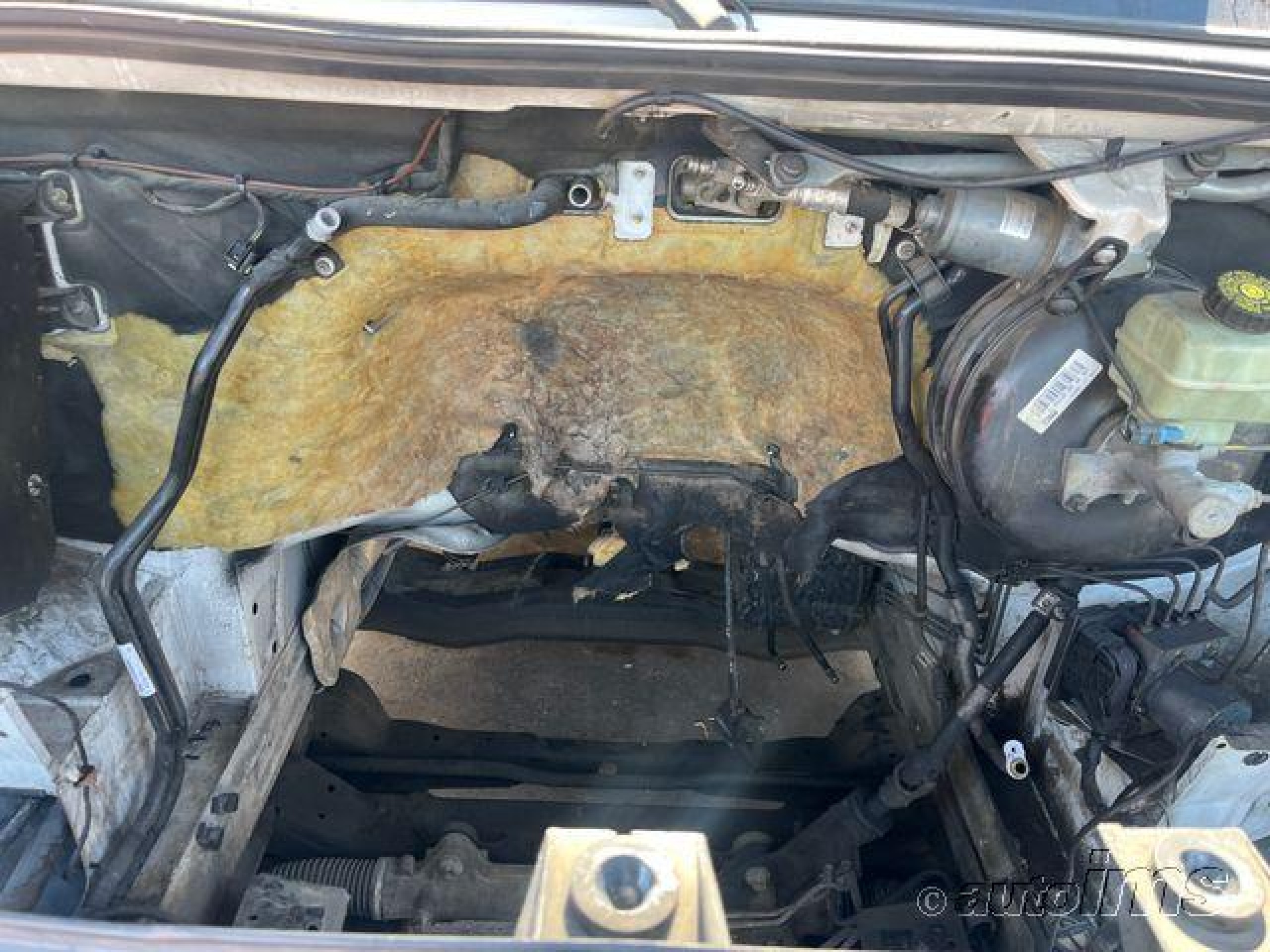 WD3PE8CBXB5606062
