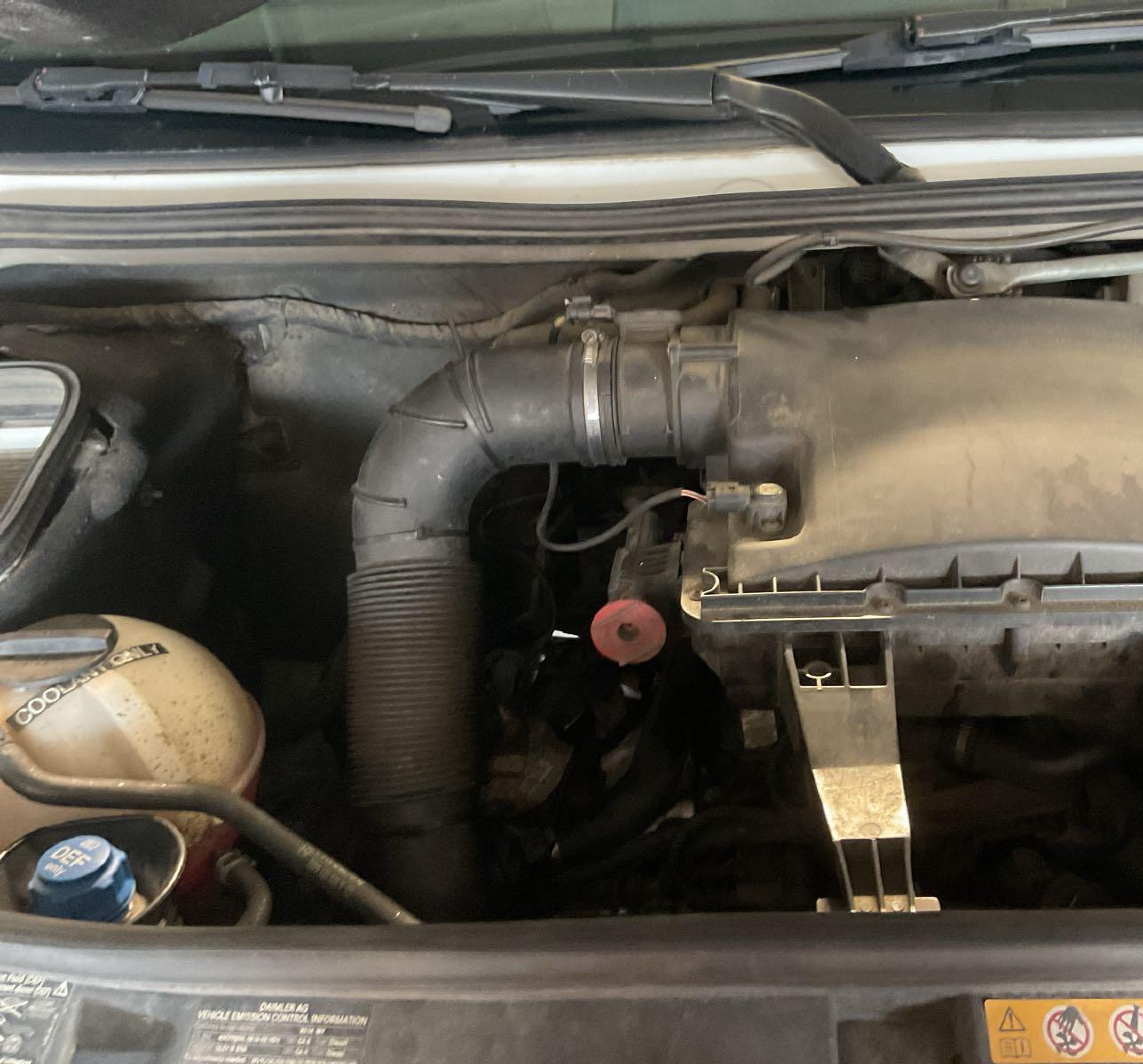 WD3PE8DEXE5899149