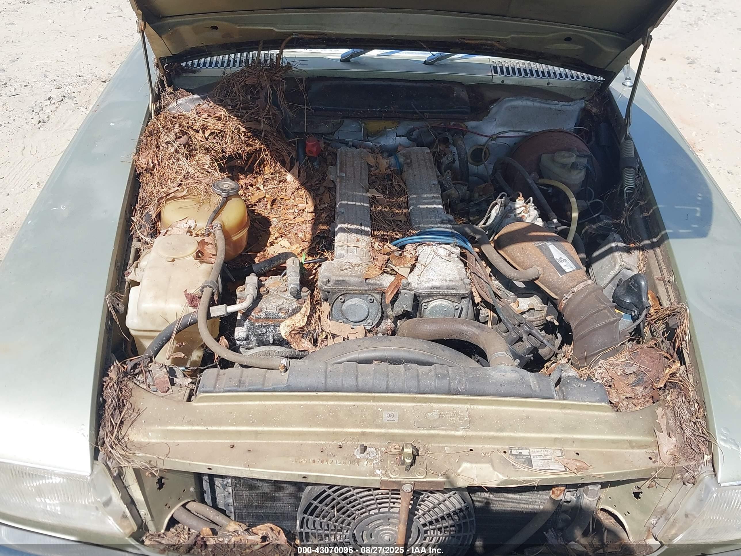 1980 Mercedes-benz 280 Series Champagne vin: WDB10704212008417